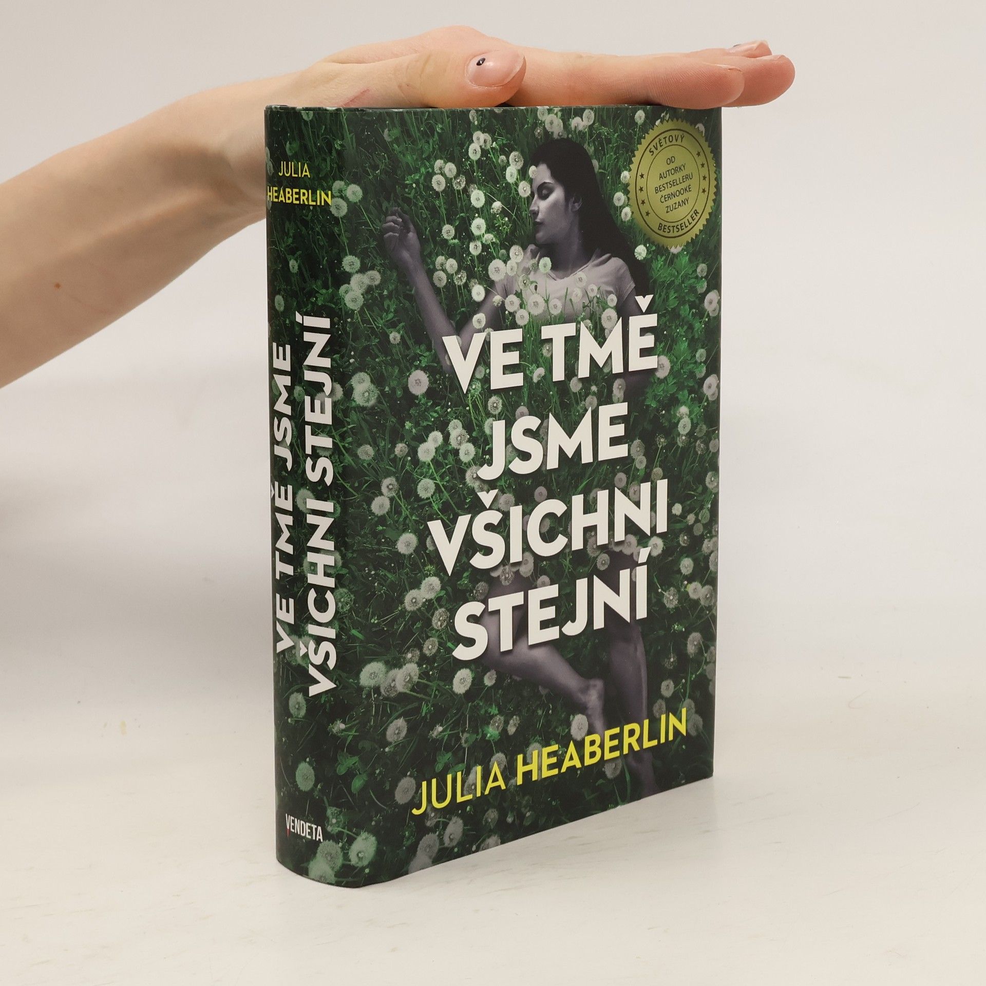 Julia Heaberlin Ve tmě jsme všichni stejní