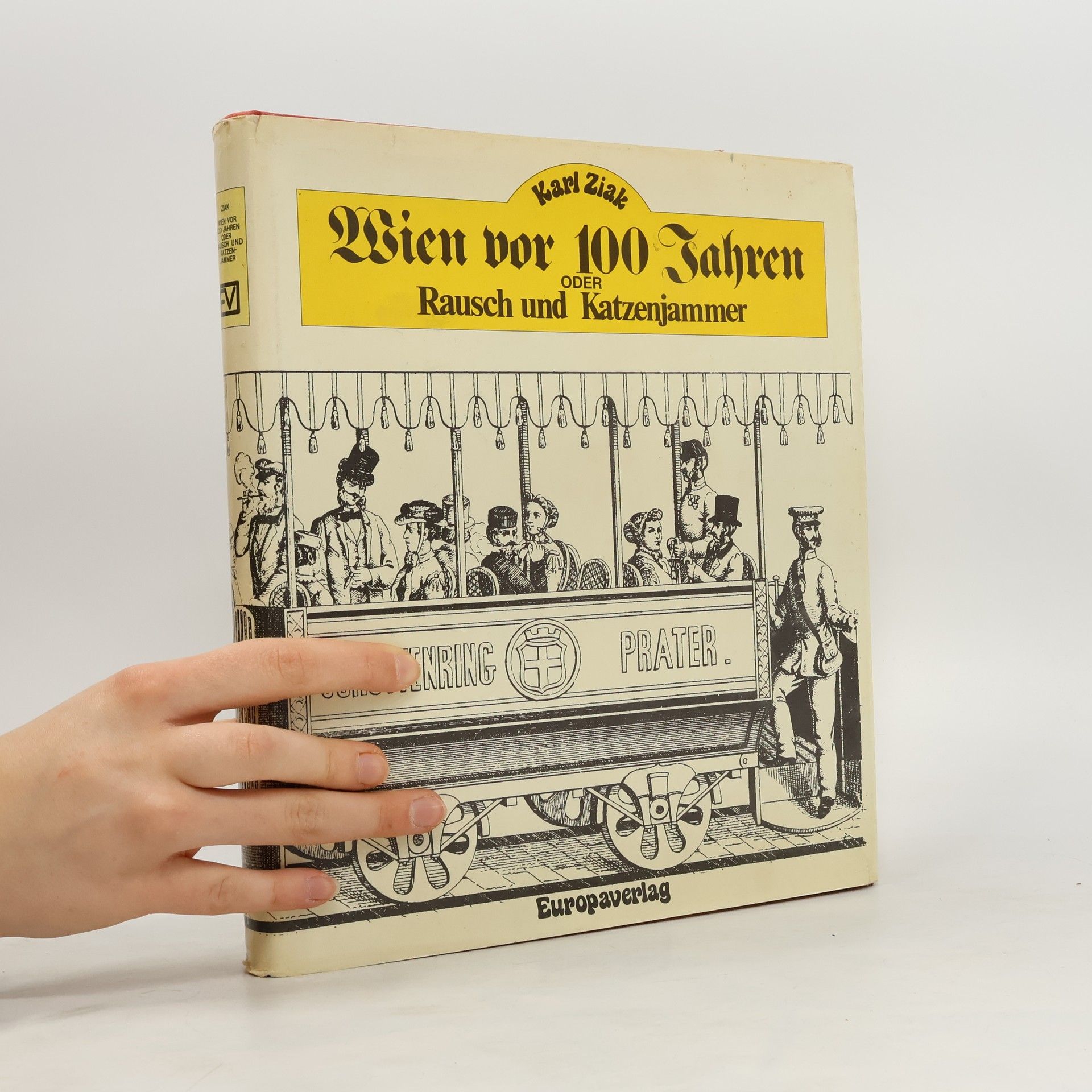 Karl Ziak Wien vor 100 Jahren oder Rausch und Katzenjammer