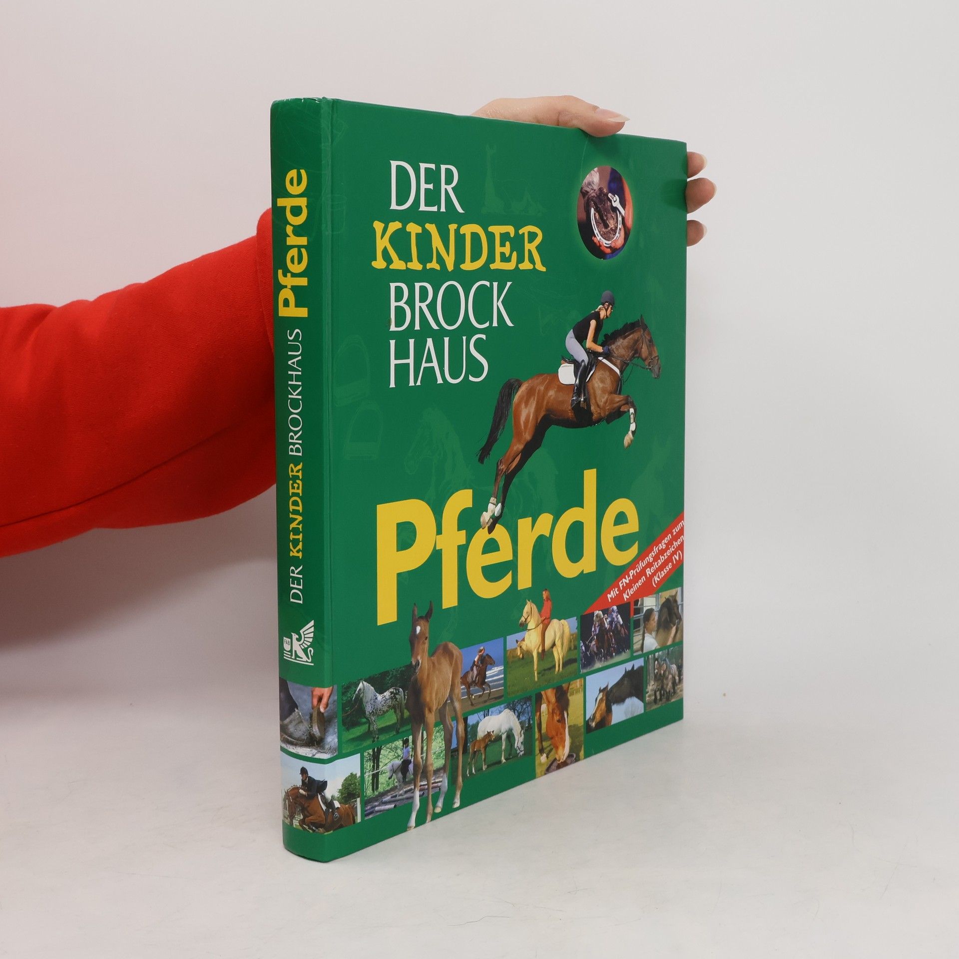 Bernd Flessner Der Kinder-Brockhaus - Pferde