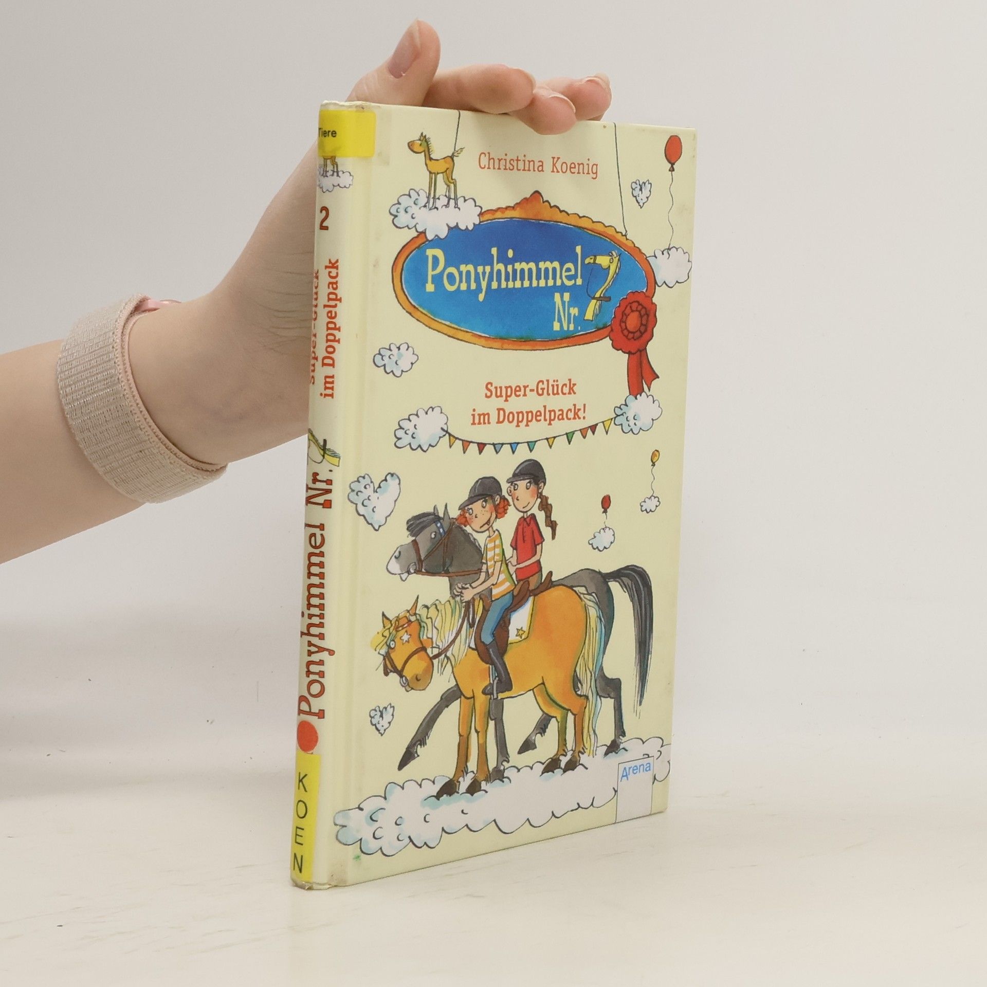 Christina Koenig Ponyhimmel Nr. 7