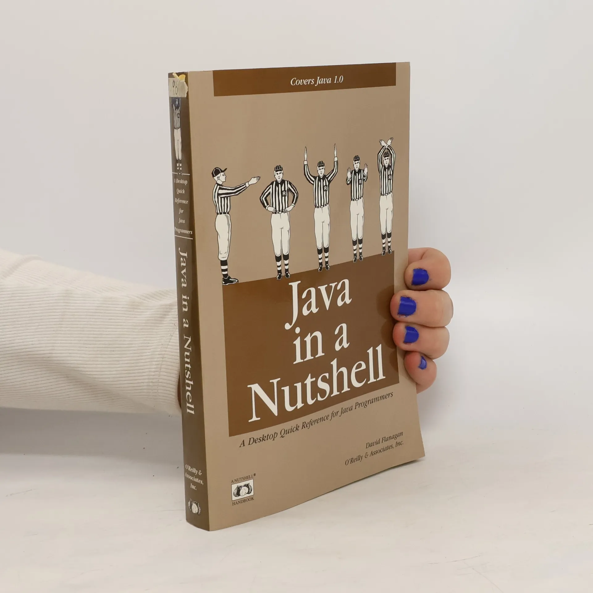 Java in a nutshell - David Flanagan - knihobot.cz