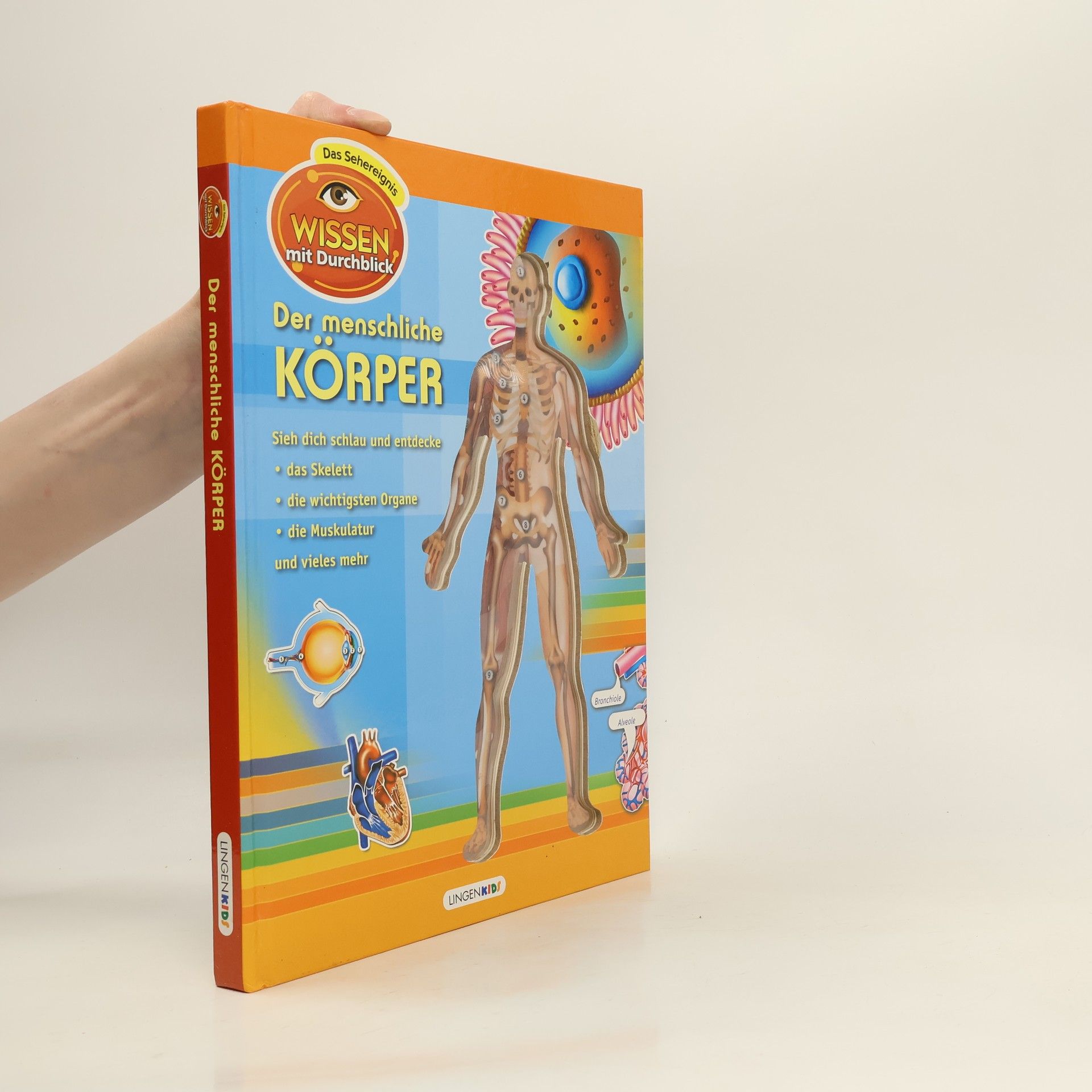 Autorenkollektiv Der menschliche Körper