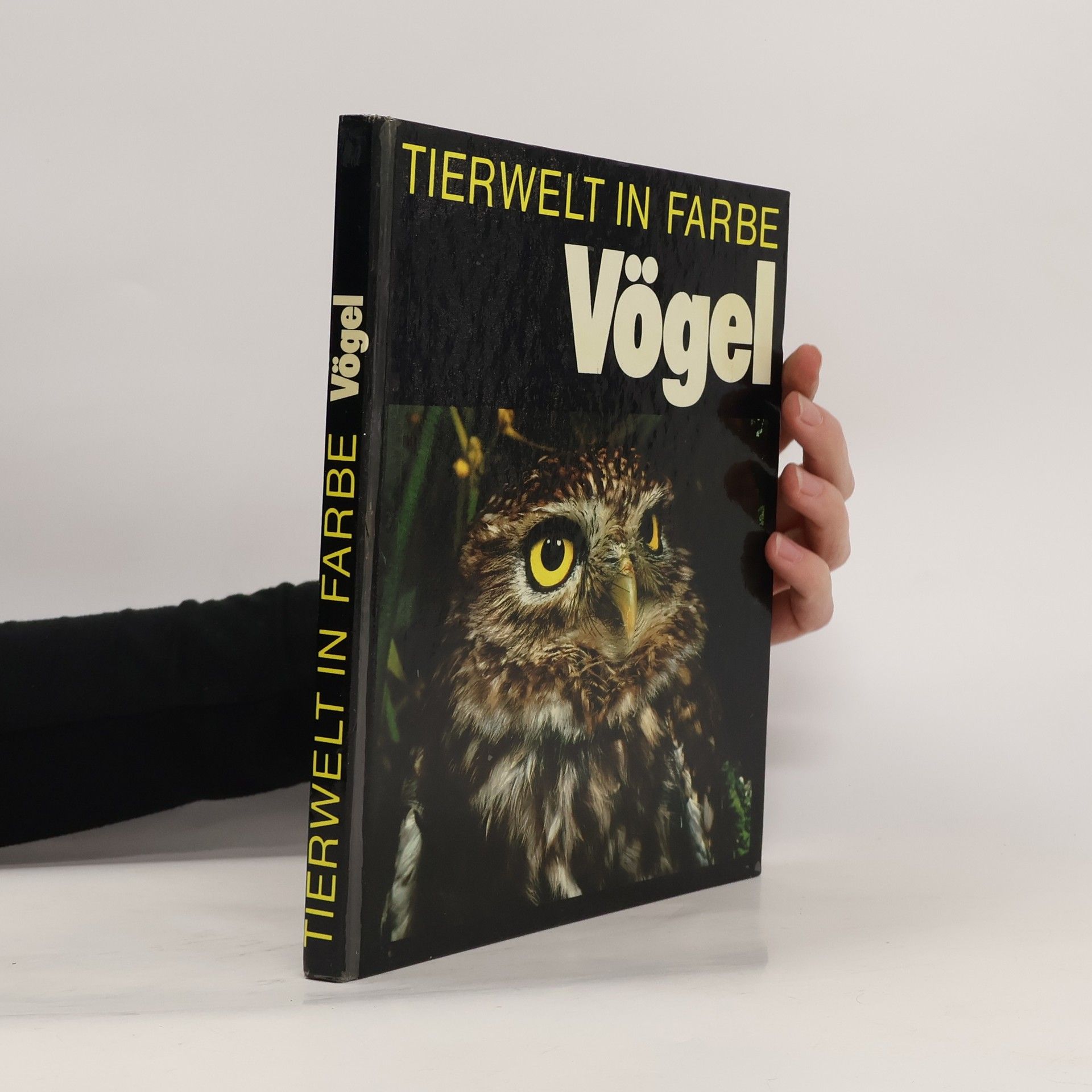 Collectif d'auteurs Tierwelt in Farbe Vögel
