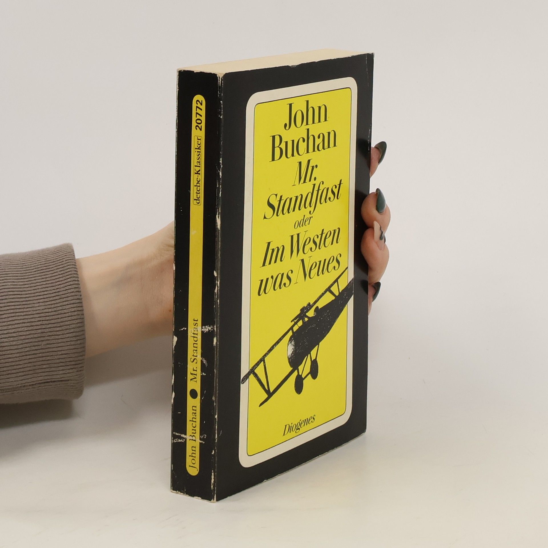 John Buchan Mr. Standfast oder im Westen was Neues