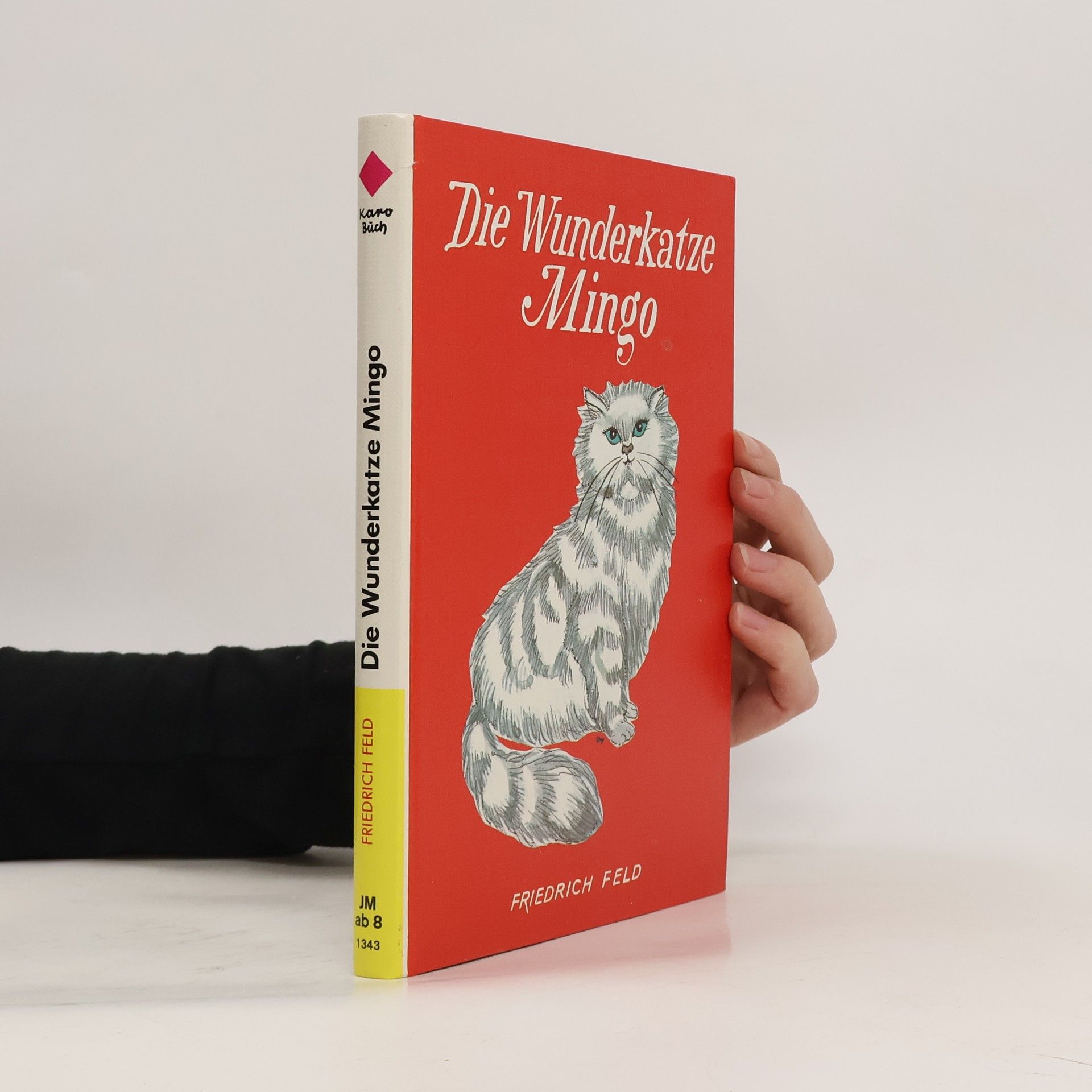 Friedrich Feld Die Wunderkatze Mingo