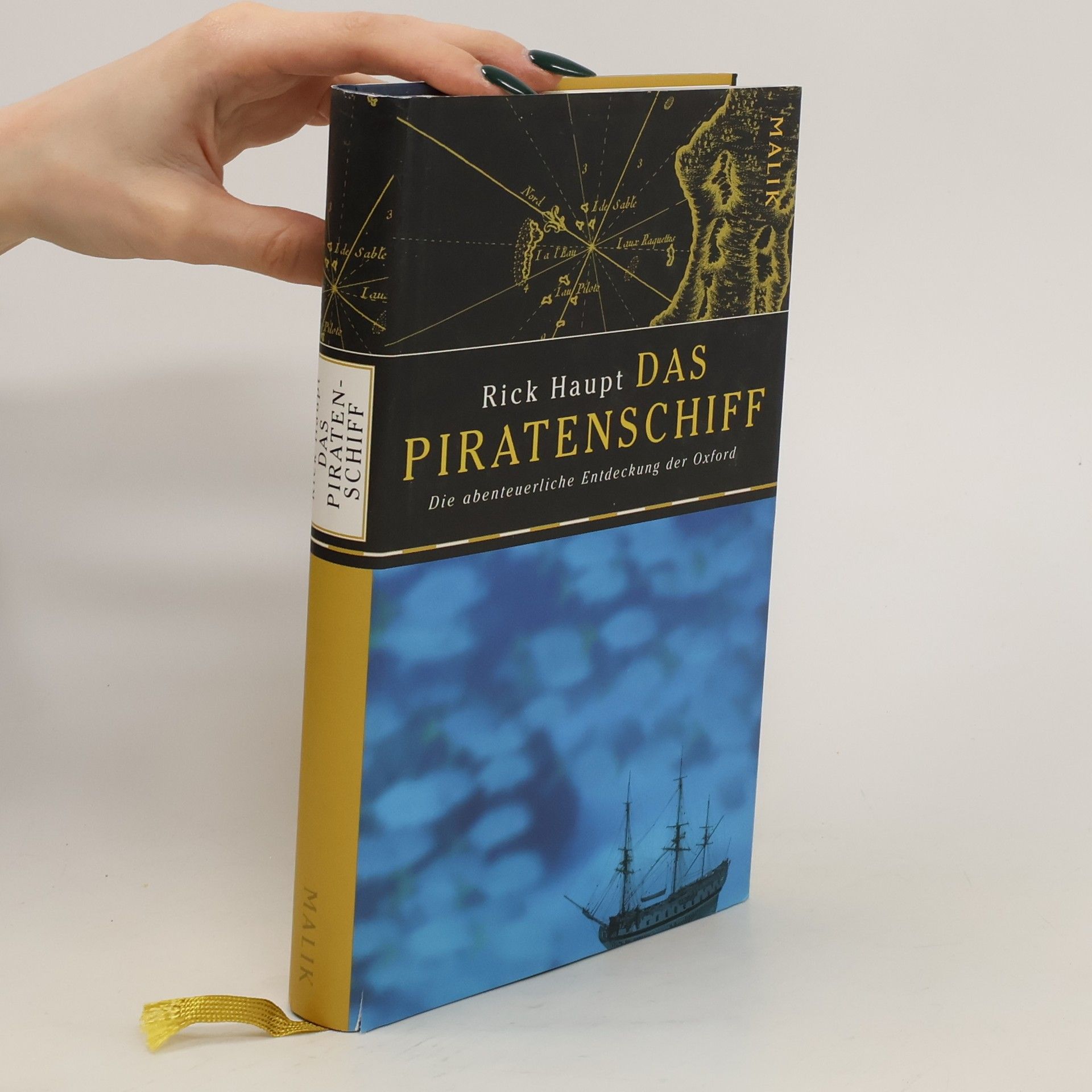 Rick Haupt Das Piratenschiff