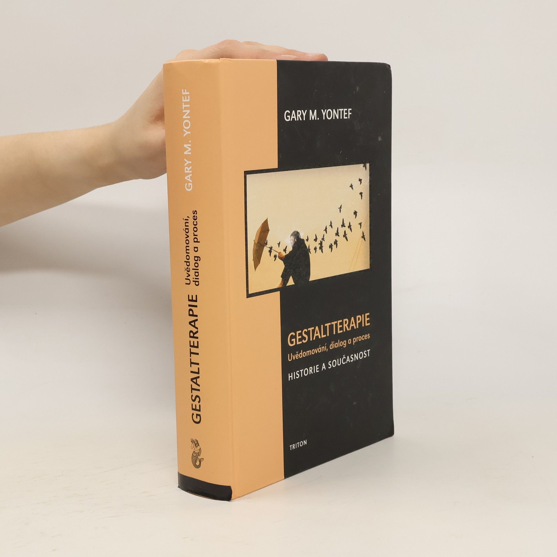 Gary M. Yontef Gestalt terapie: Uvědomování, dialog a proces