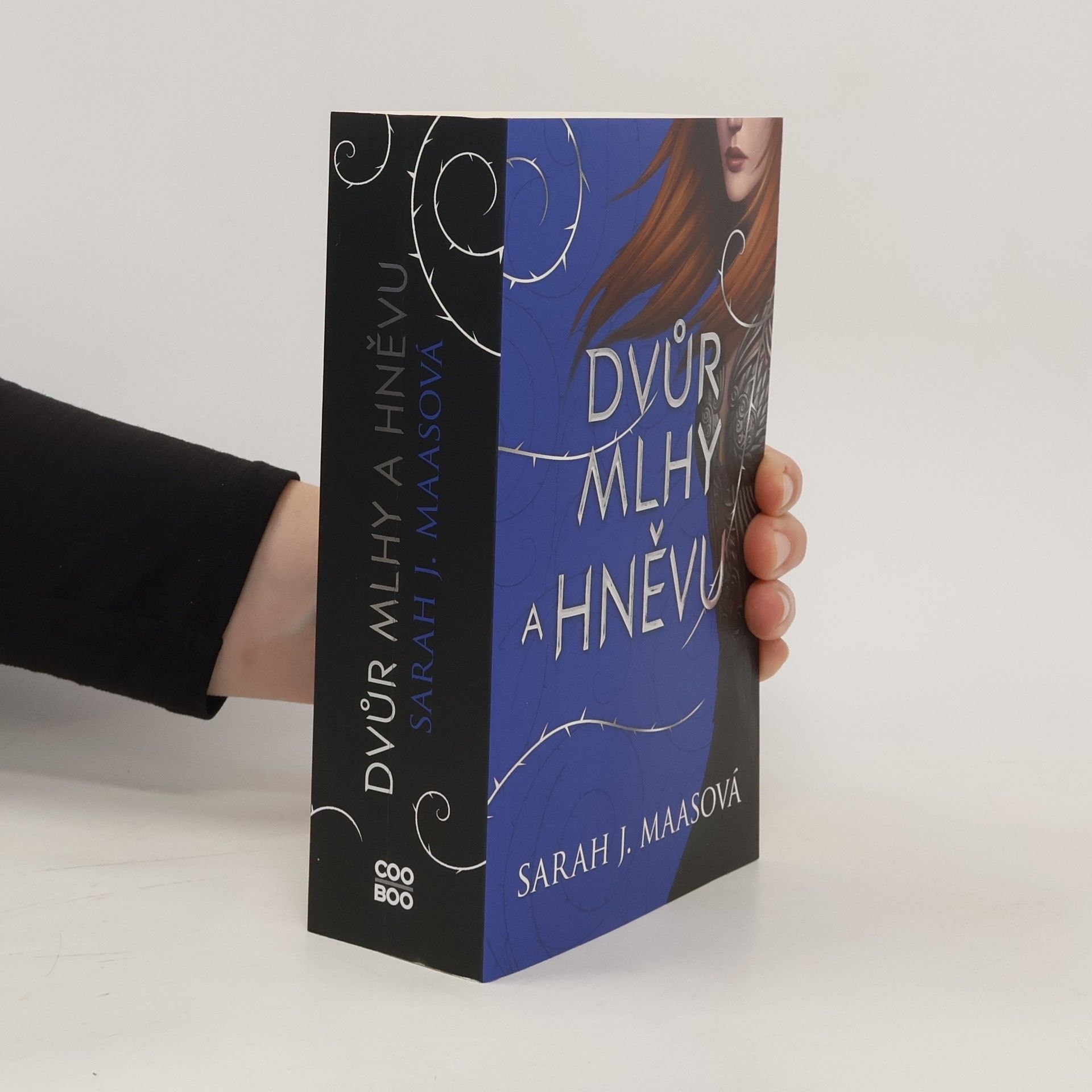 Sarah J. Maas Dvůr trnů a růží 1-4