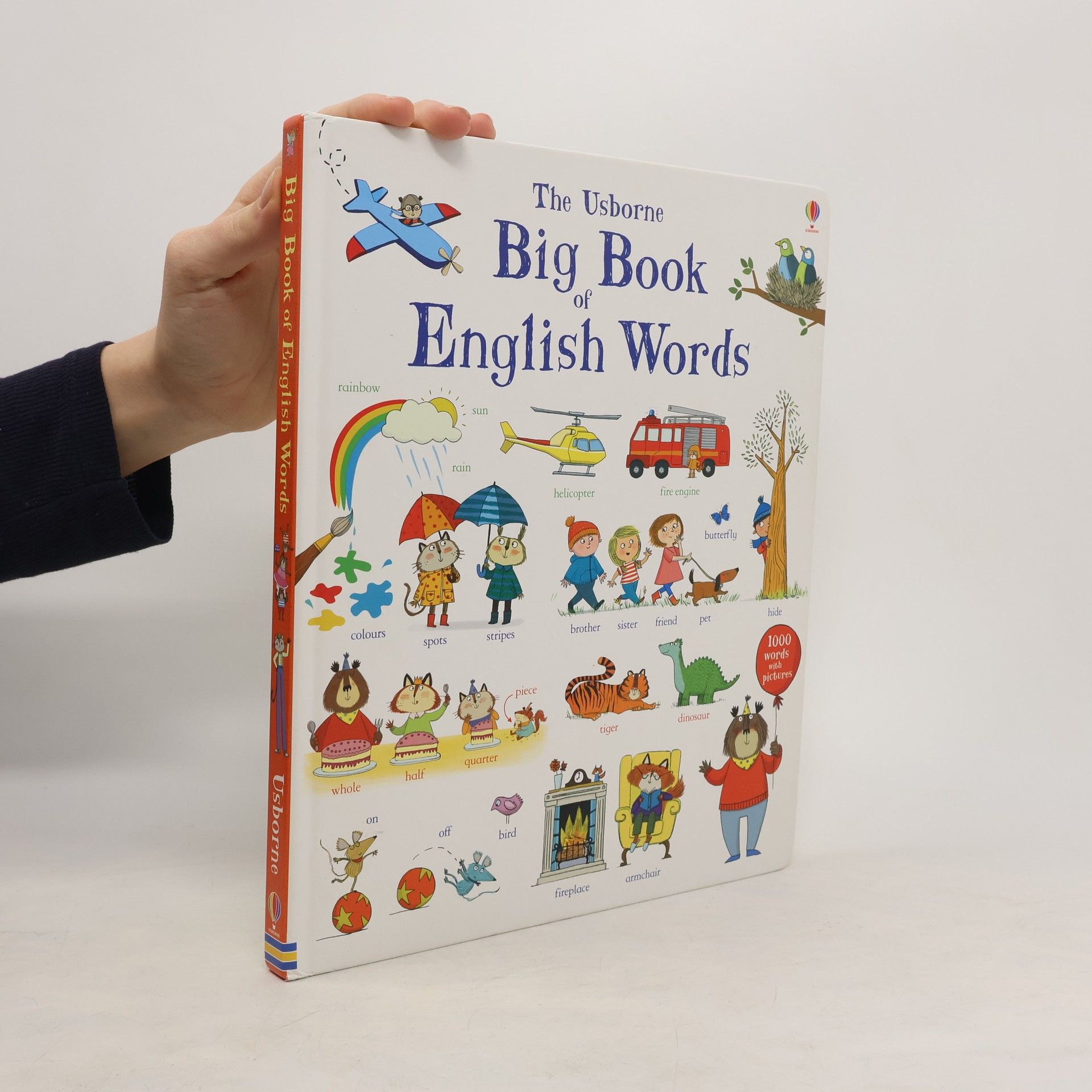 Mairi Mackinnon The Usborne Big Book of English Words