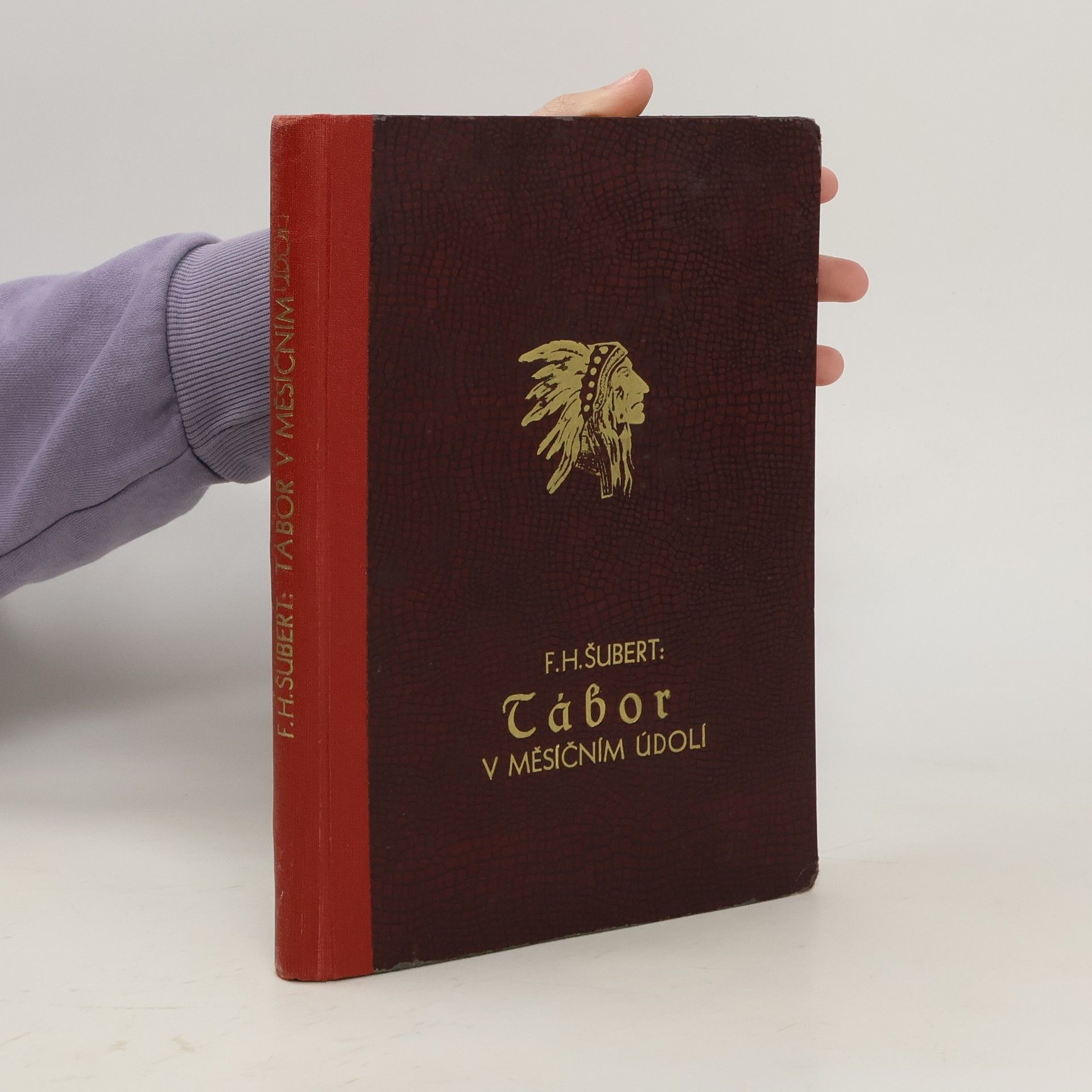 František H. Šubert Tábor v měsíčním údolí