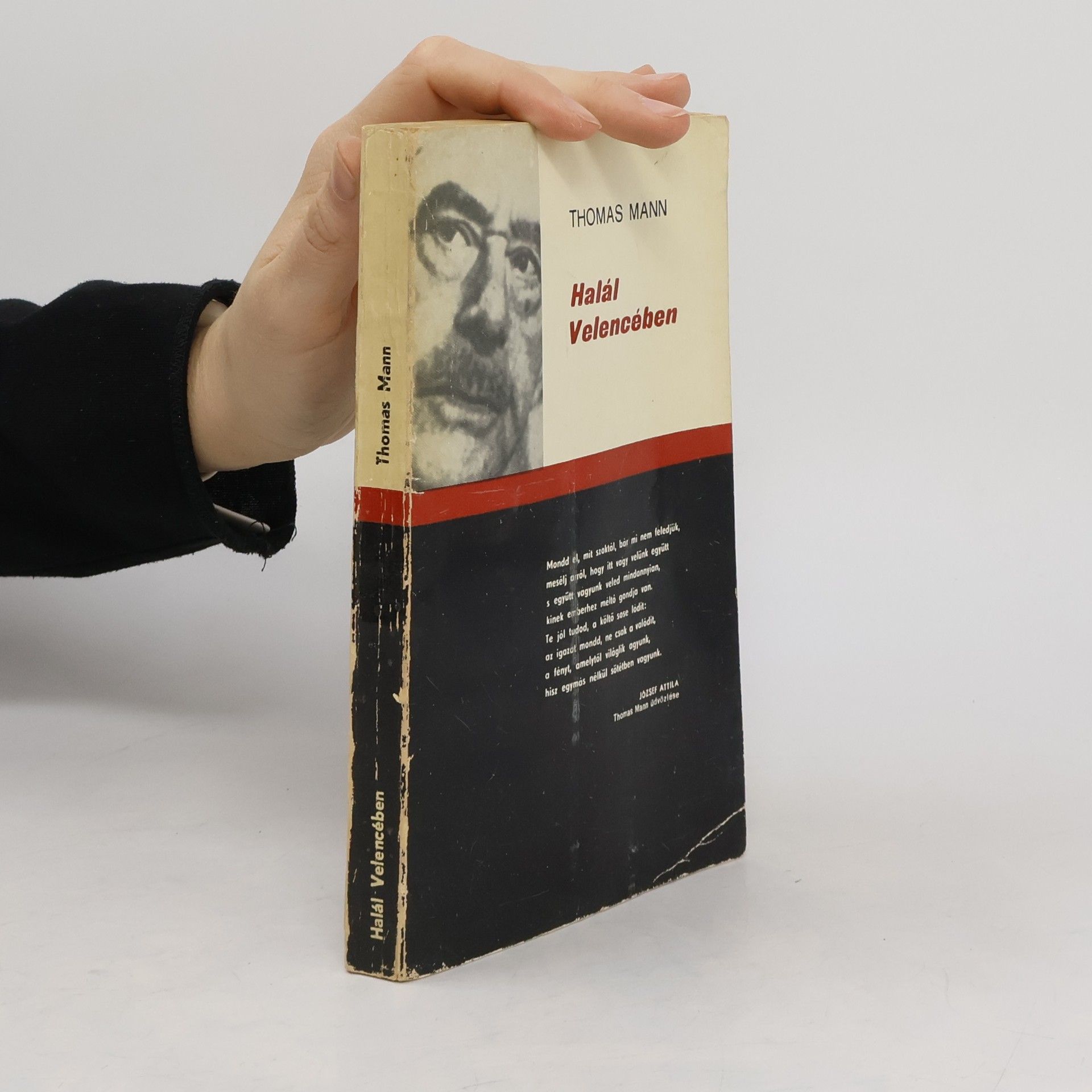 Thomas Mann Halál Velencében