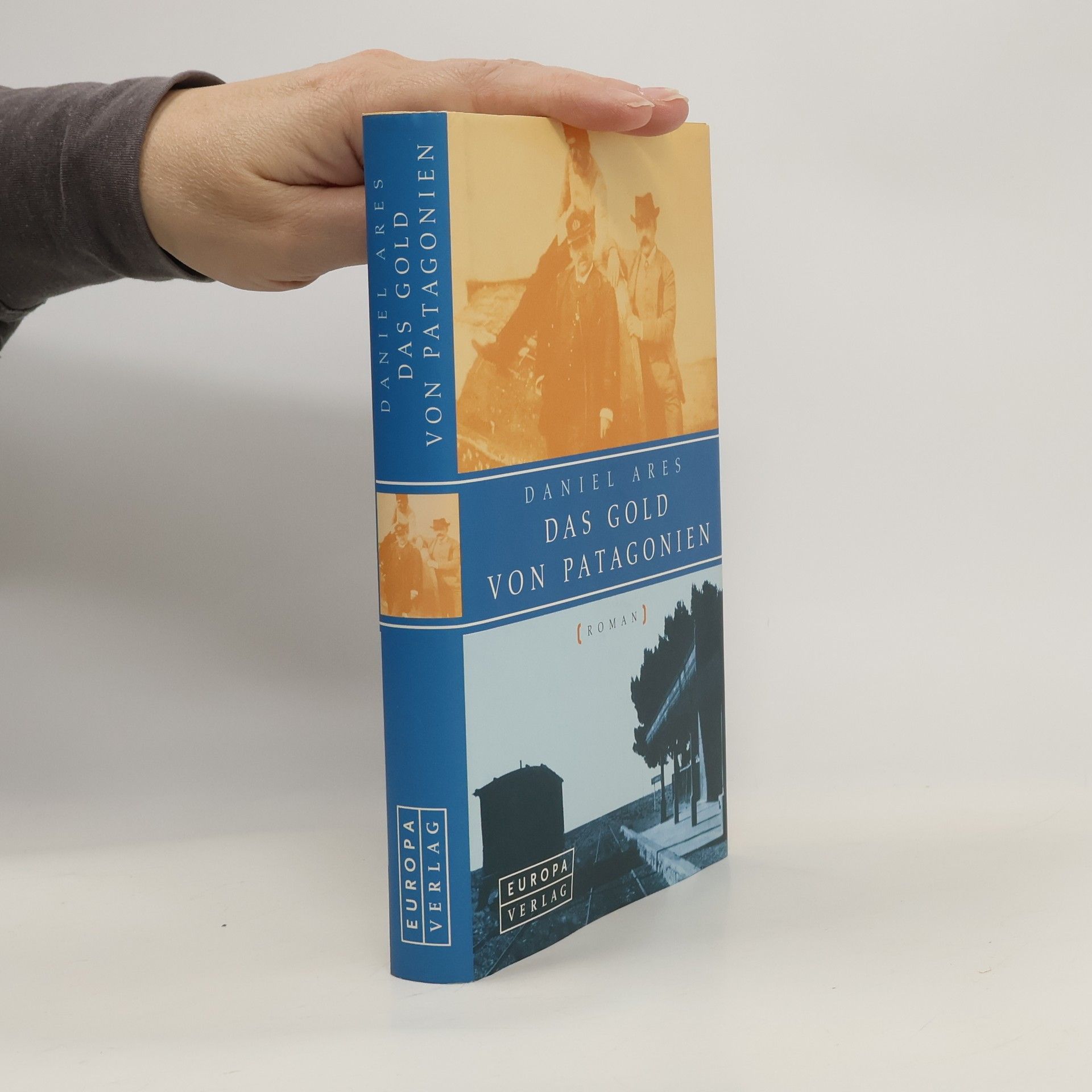 Daniel Ares Das Gold von Patagonien