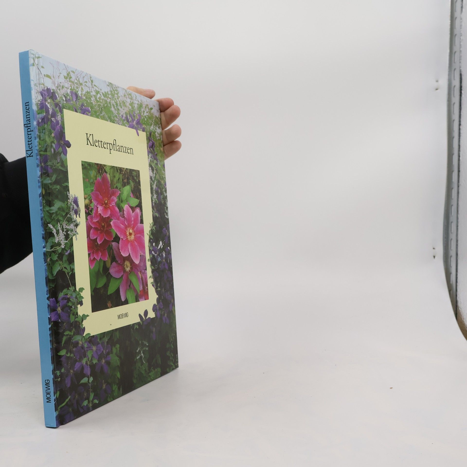 Christa Schreiber Kletterpflanzen