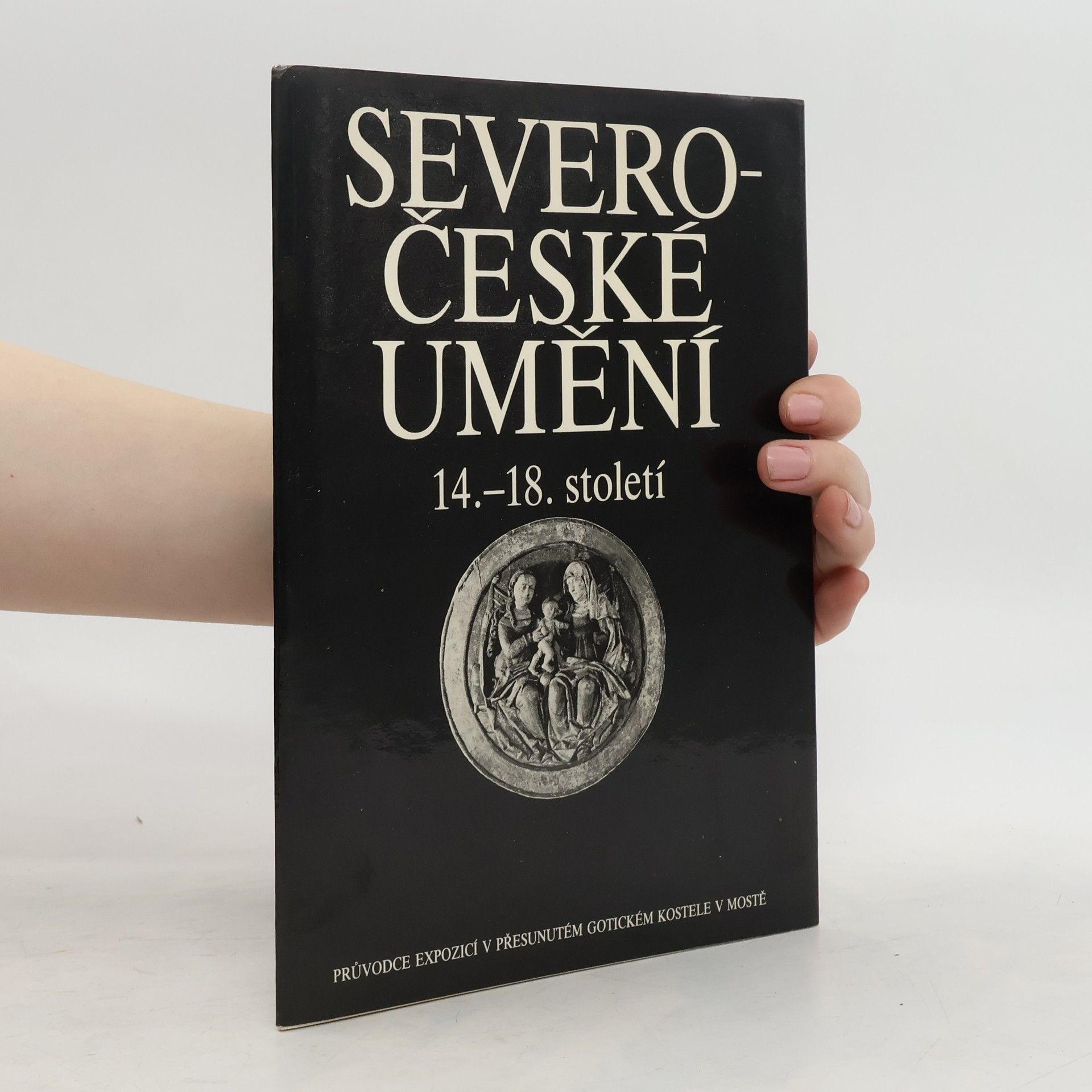 Collectif d'auteurs Severočeské umění 14. - 18. století