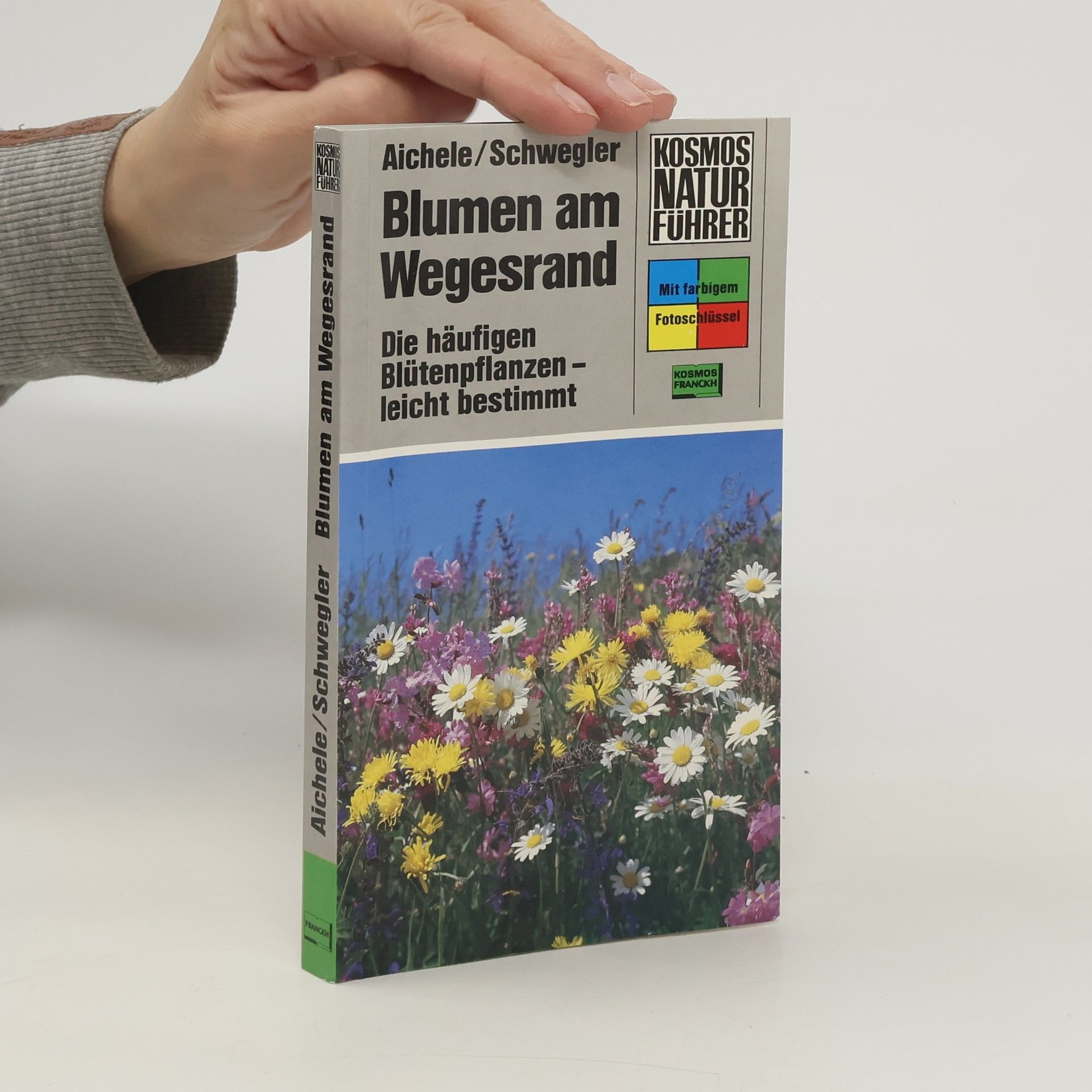 Dietmar Ernst Aichele Blumen am Wegesrand