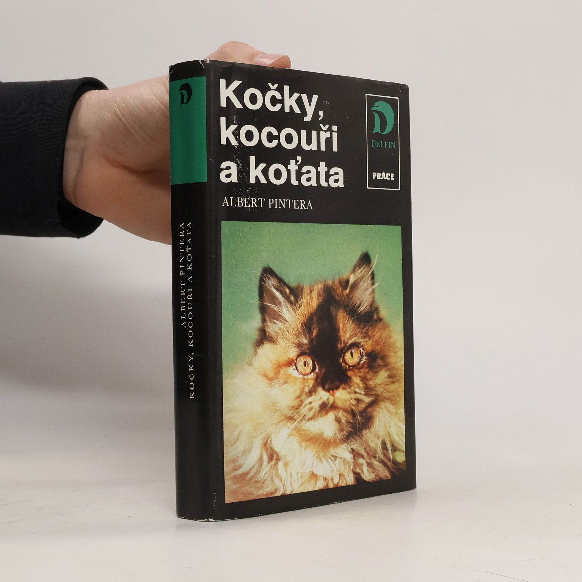 Albert Pintera Kočky, kocouři a koťata