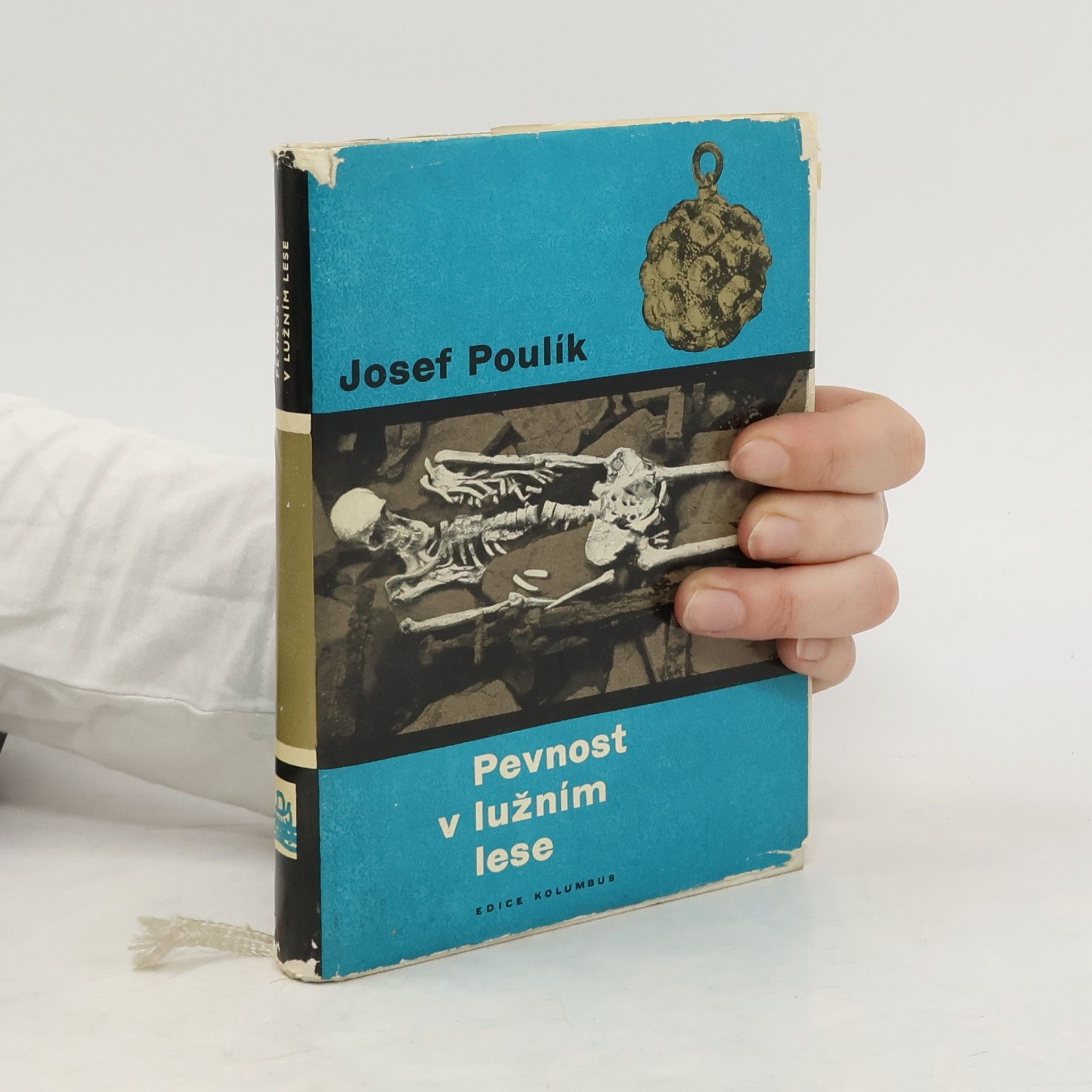 Josef Poulík Pevnost v lužním lese