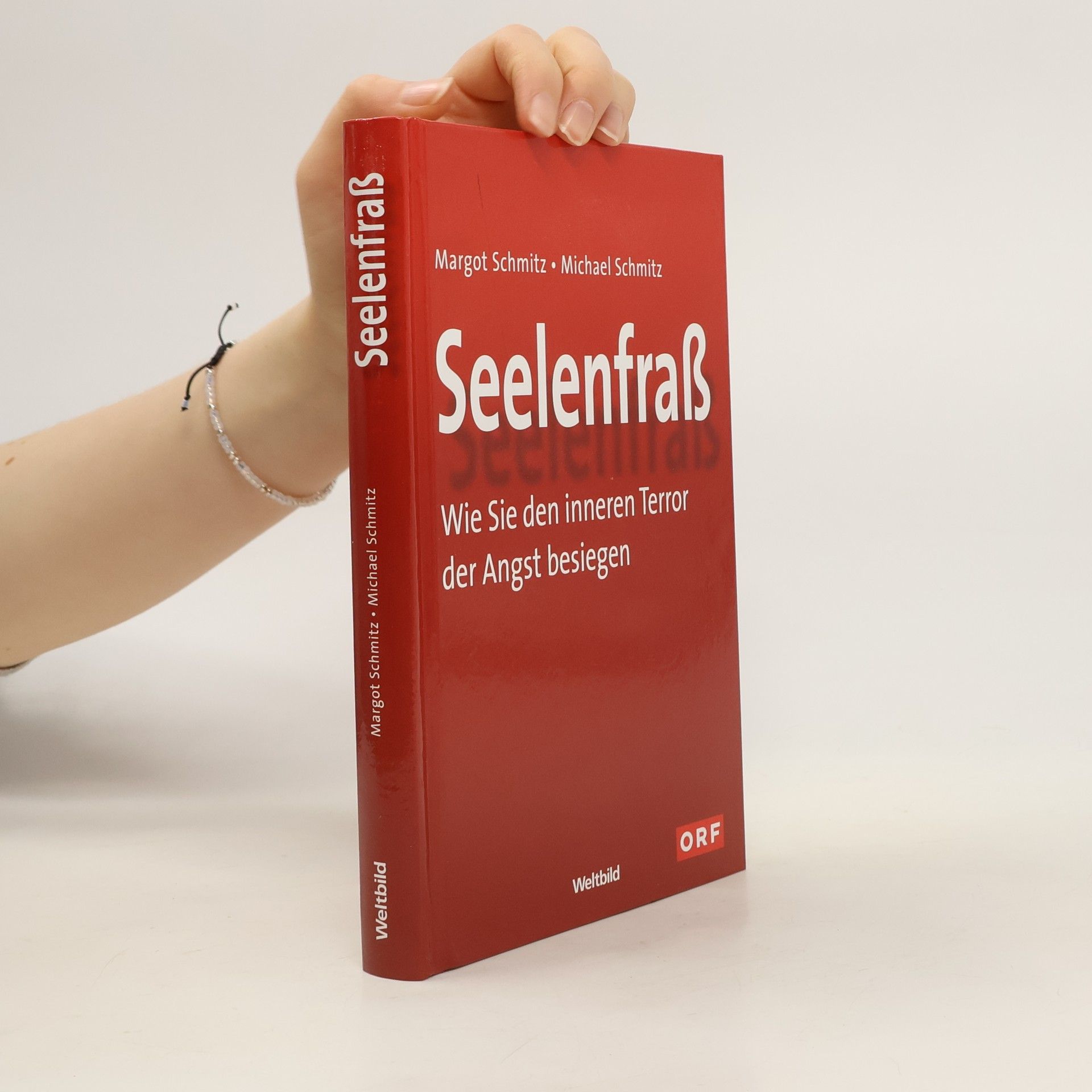 Ralf-Michael Schmitz Seelenfraß
