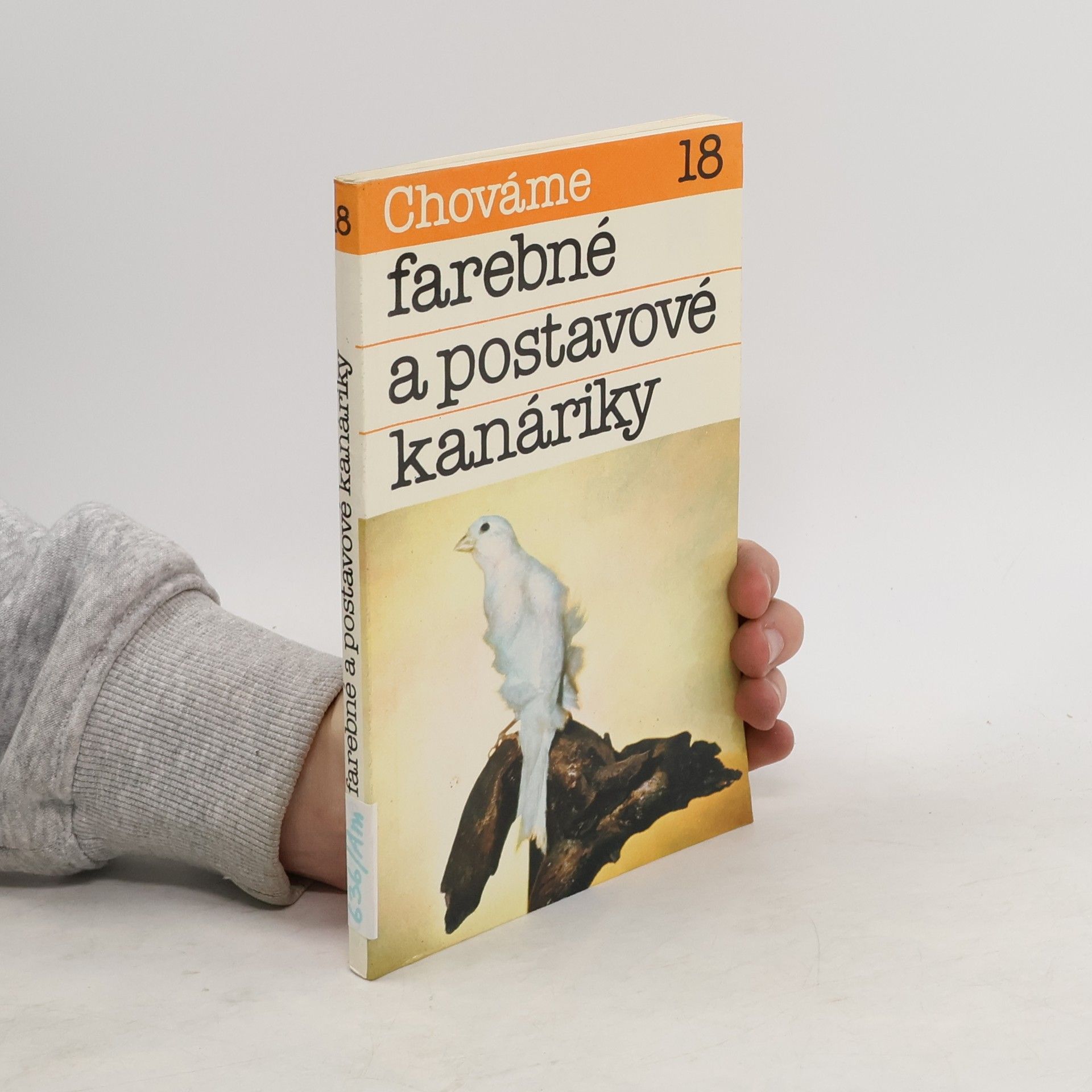 Bystrík Ambruš Chováme farebné a postavové kanáriky