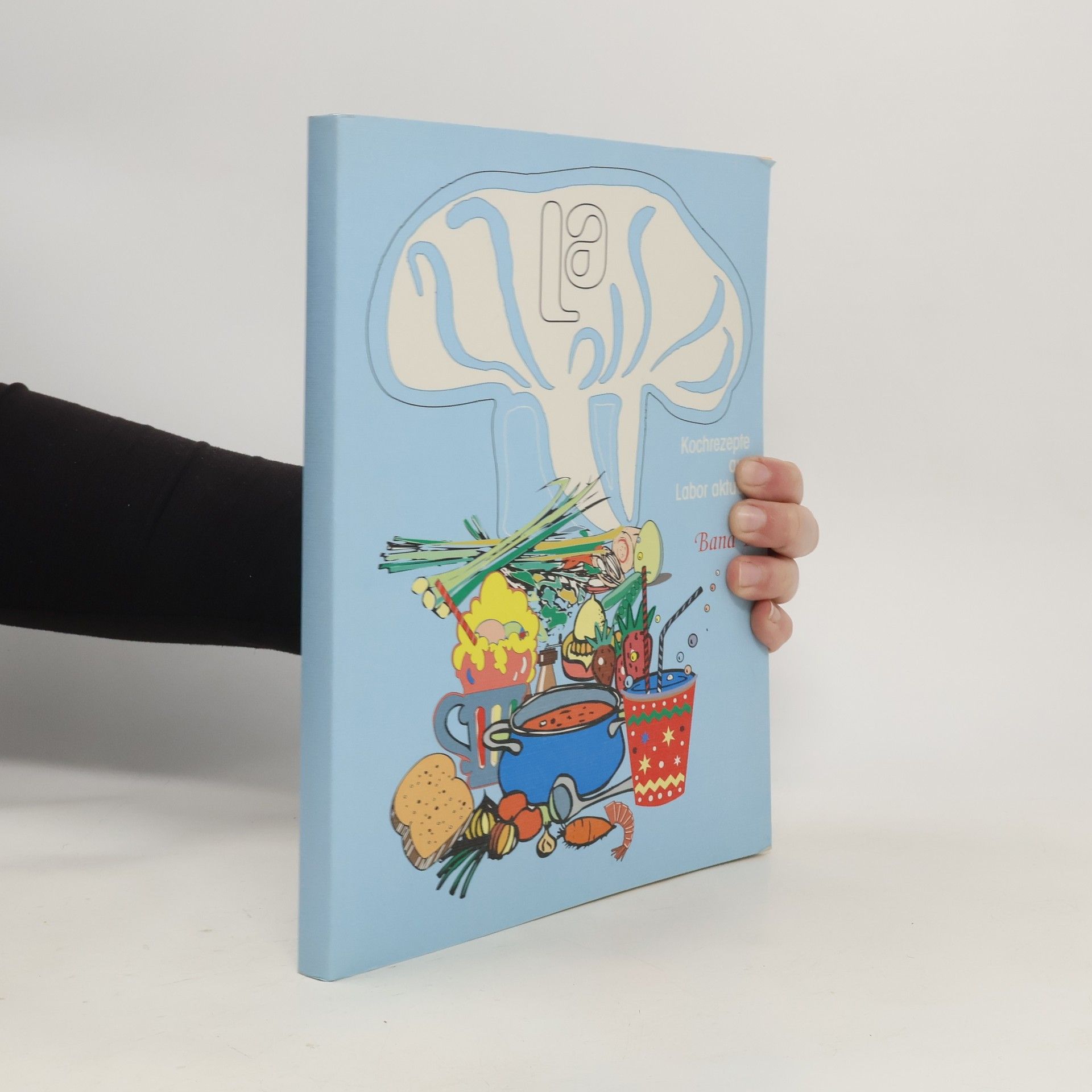 Autorenkollektiv Kochrezepte aus Labor aktuell, Band 1