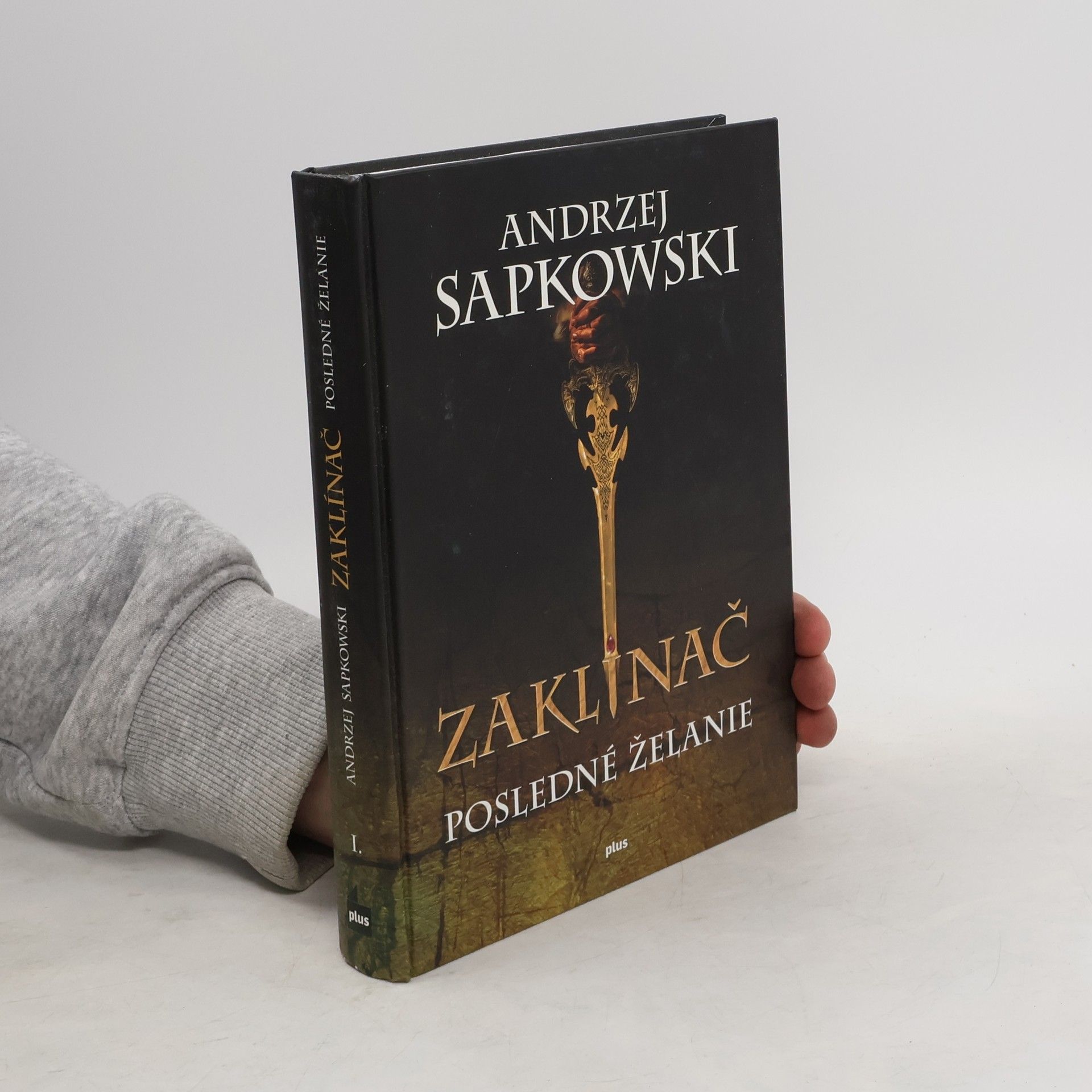 Andrzej Sapkowski Zaklínač. Posledné želanie