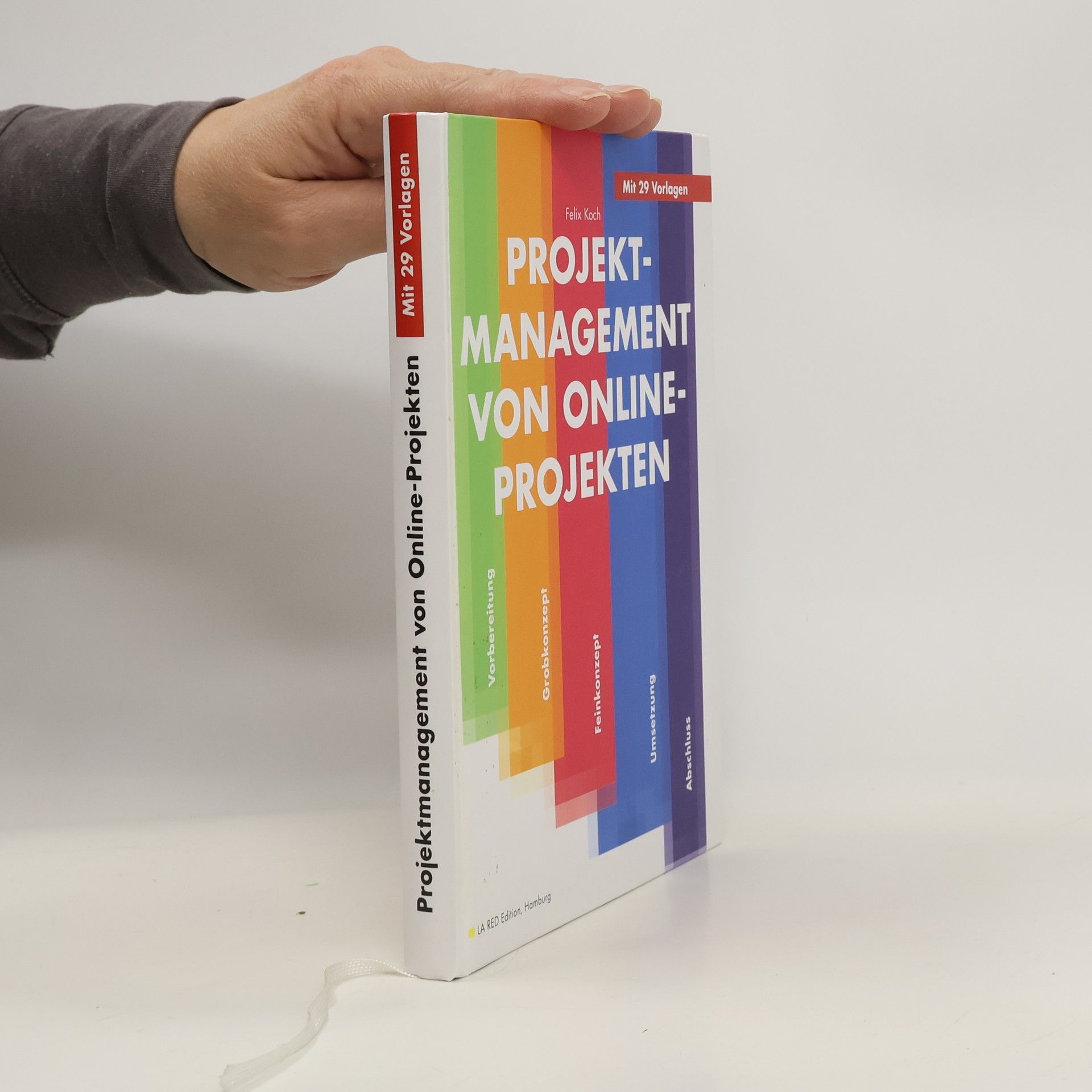 Felix Koch Projektmanagement von Online-Projekten
