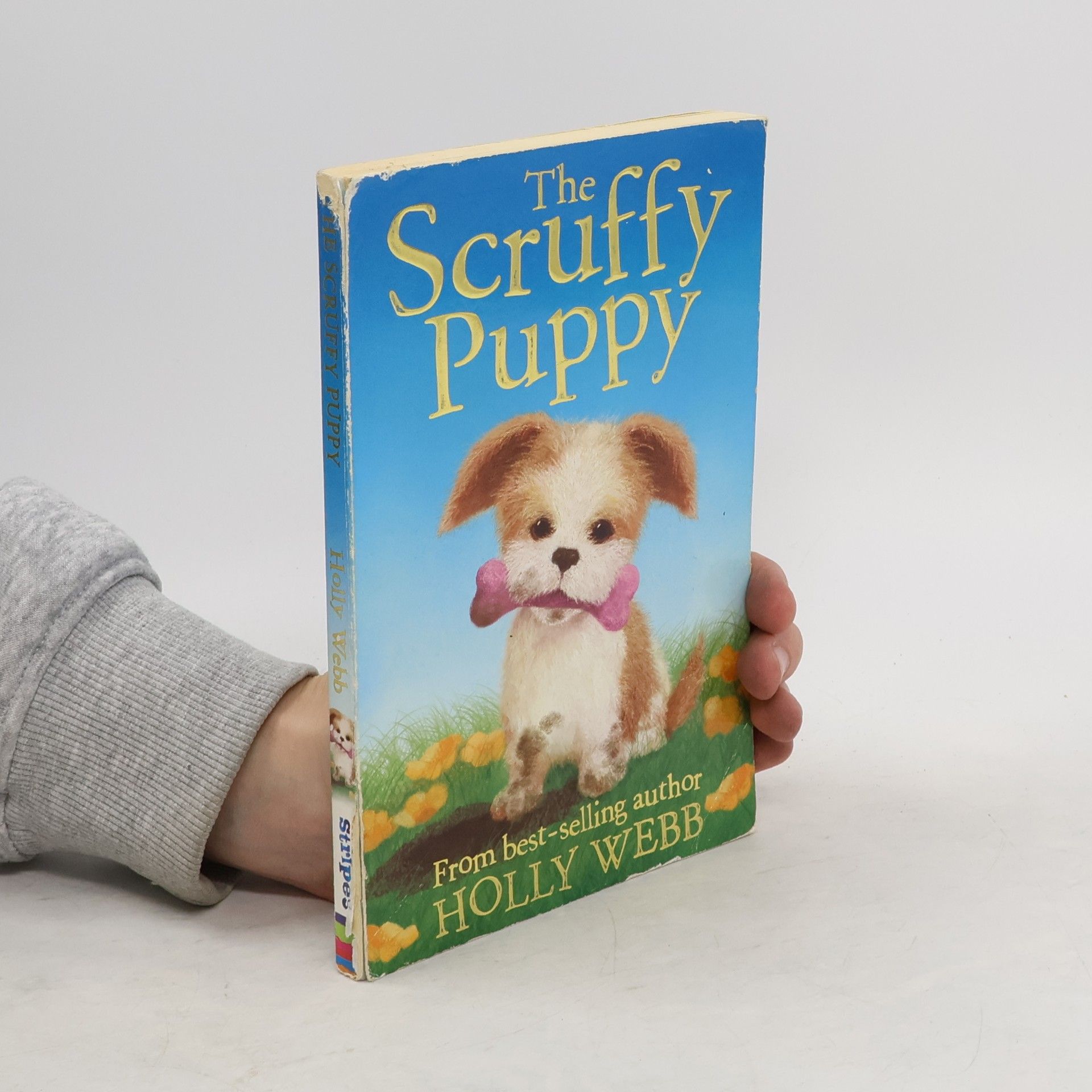 Holly Webb The Scruffy Puppy