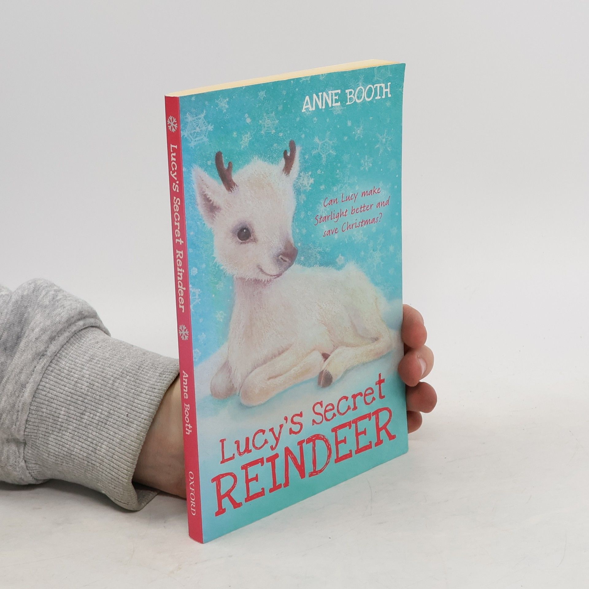 Anne Booth Lucy's Secret Reindeer