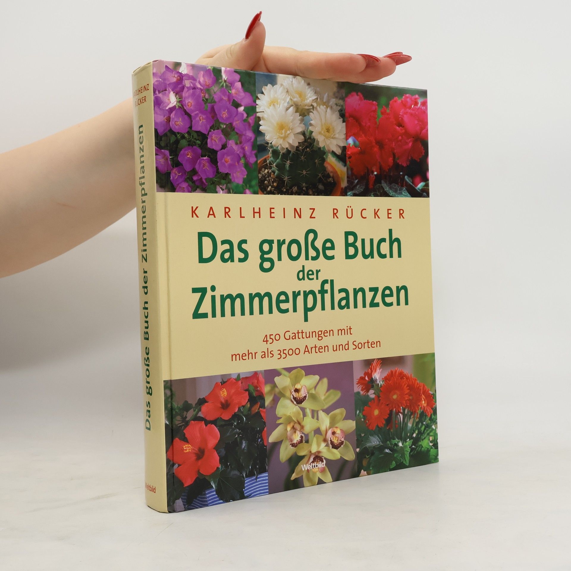 Karlheinz Rücker Das große Buch der Zimmerpflanzen