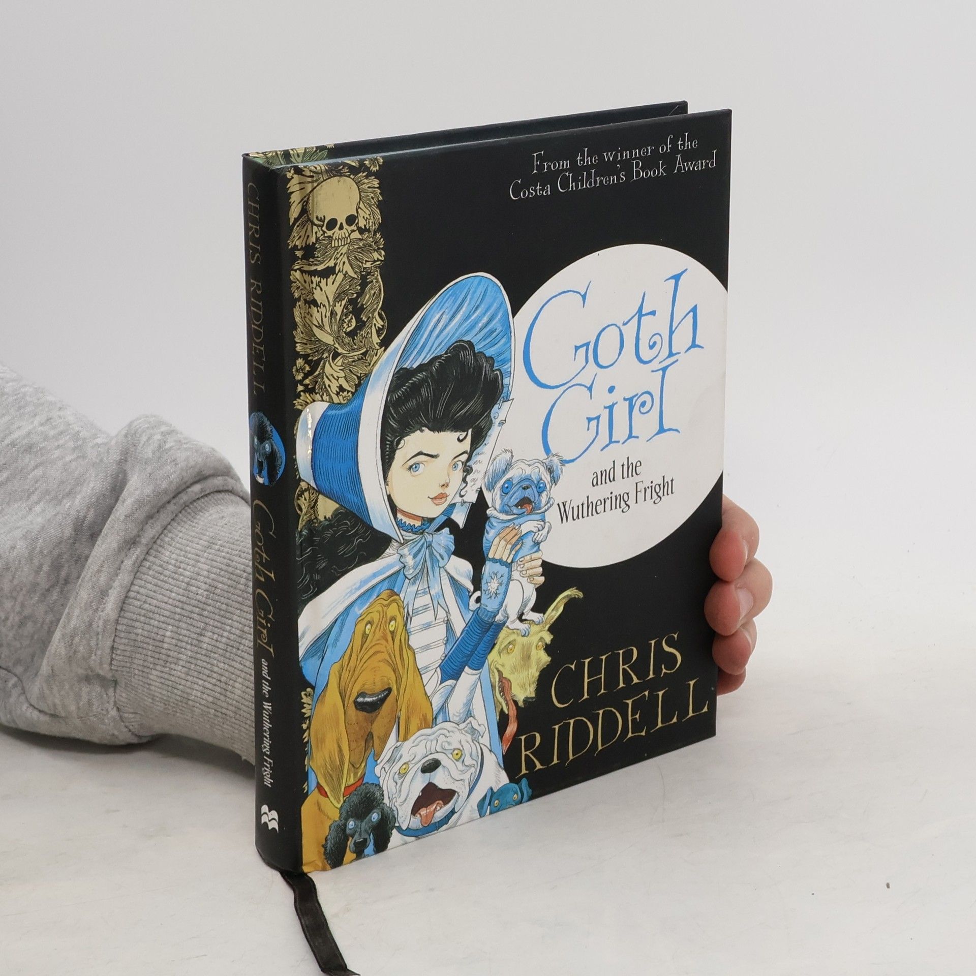 Chris Riddell Goth Girl and the Wuthering Fright