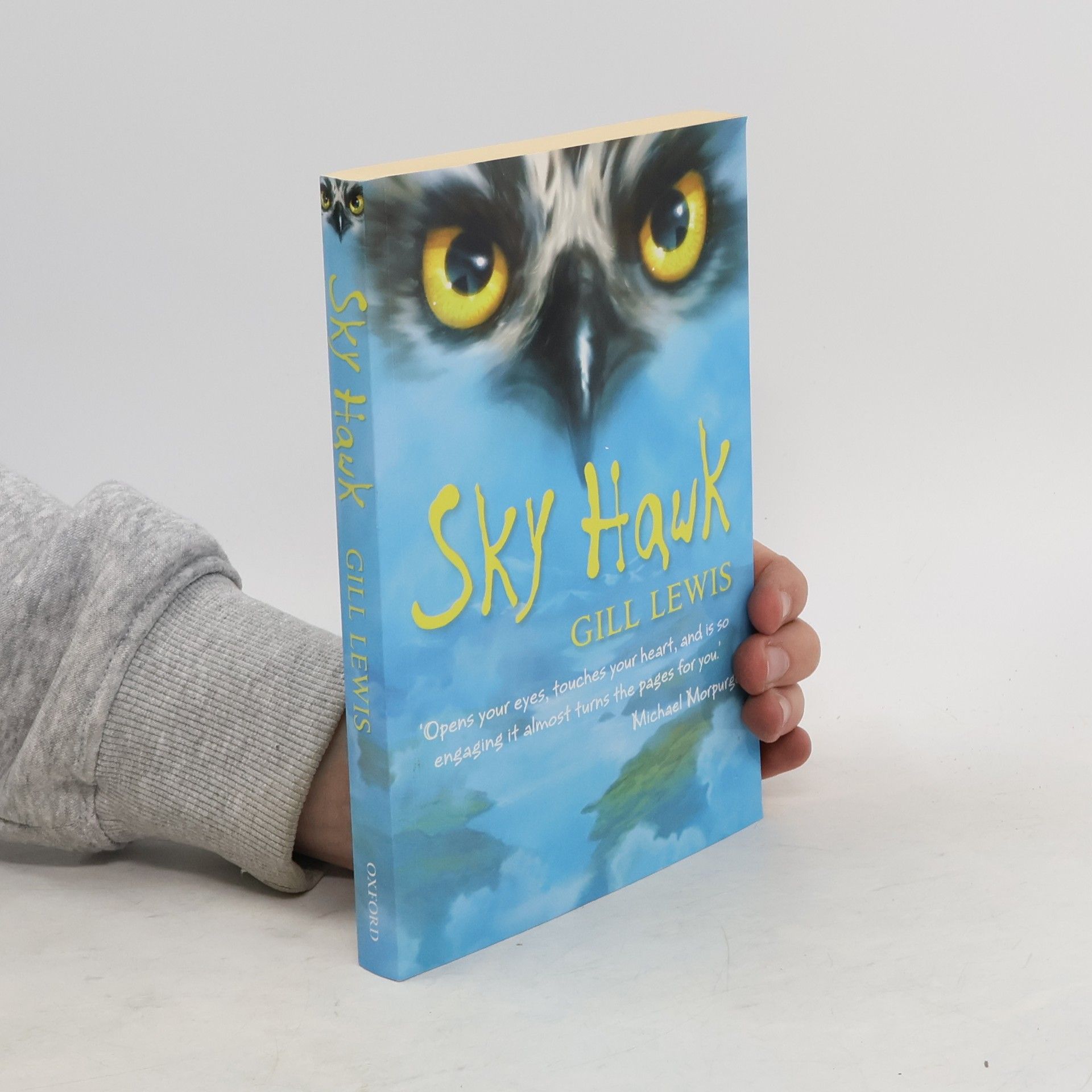 Gill Lewis The Sky Hawk