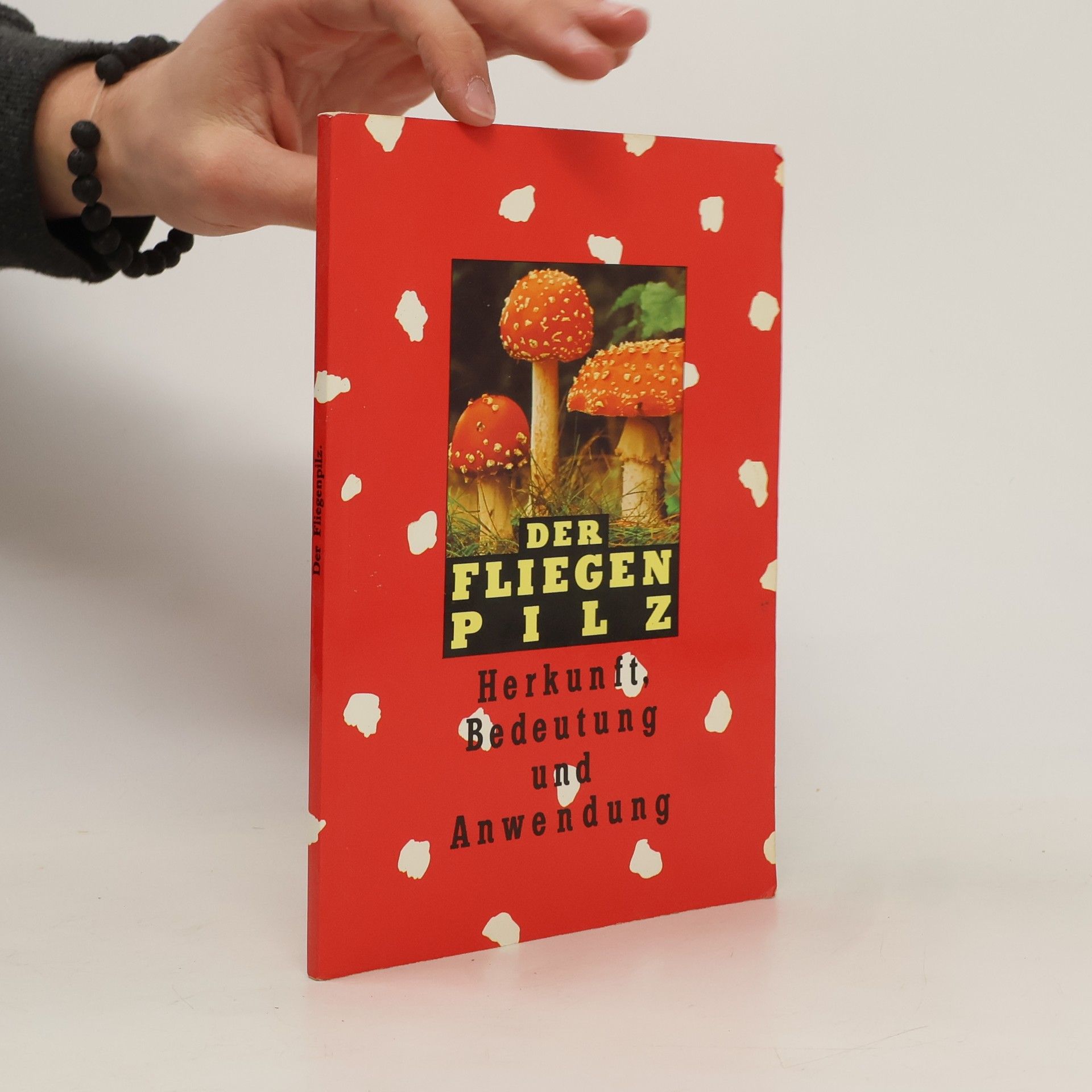 Autorenkollektiv Der Fliegenpilz