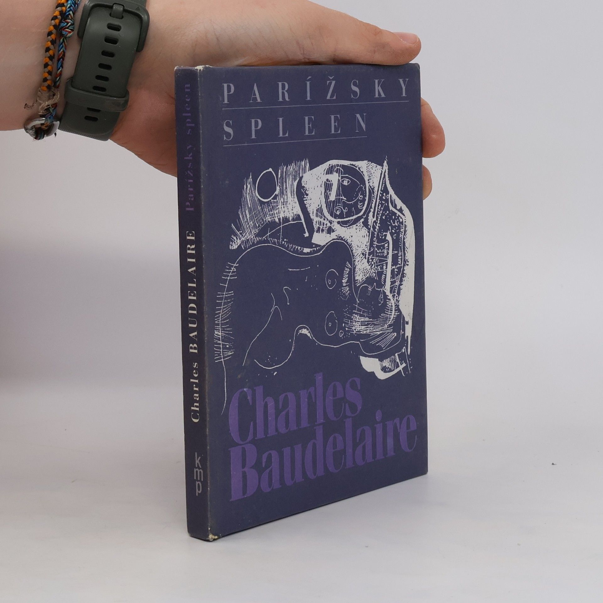 Charles Baudelaire Parížsky spleen: Malé básne v próze