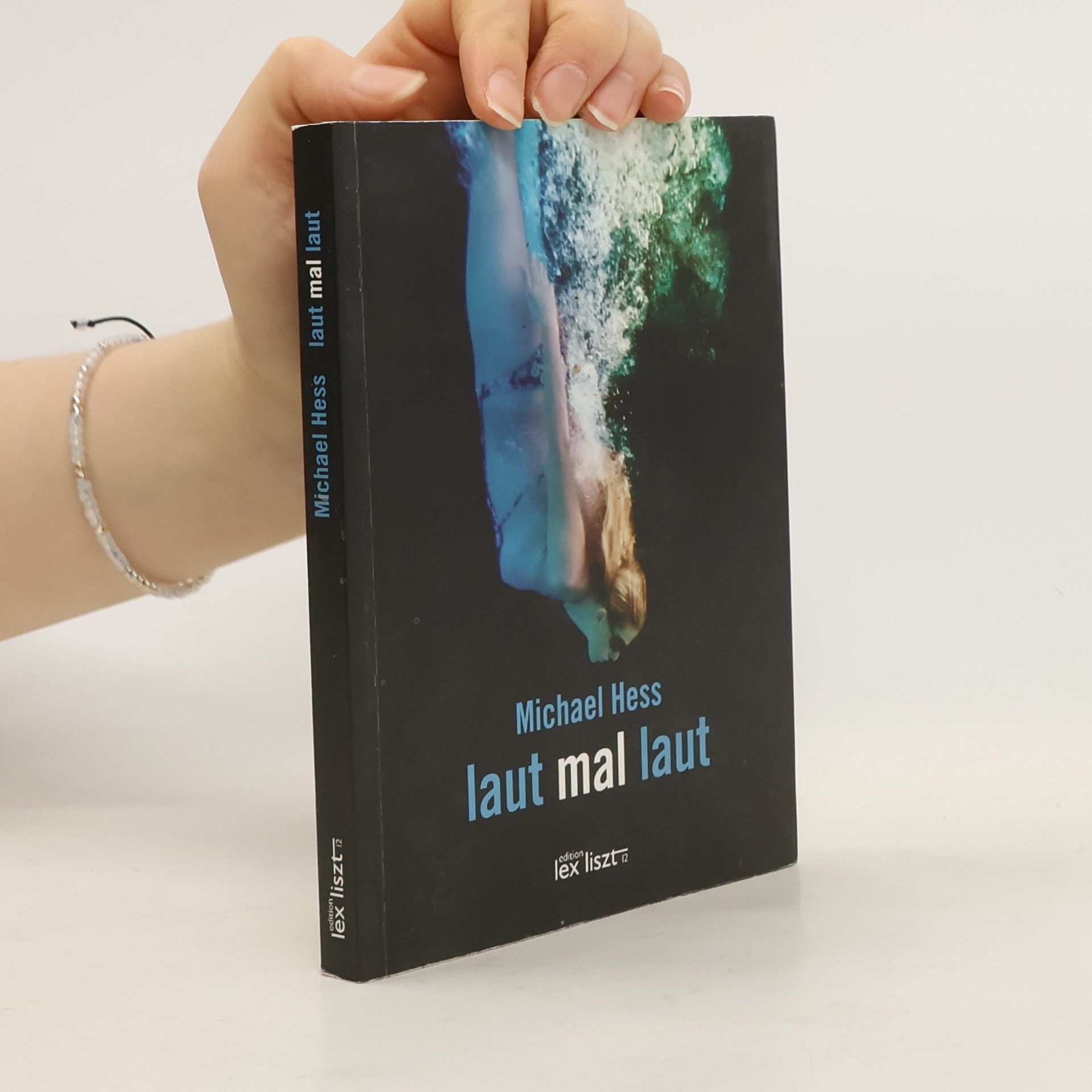 Michael Hess Laut mal laut