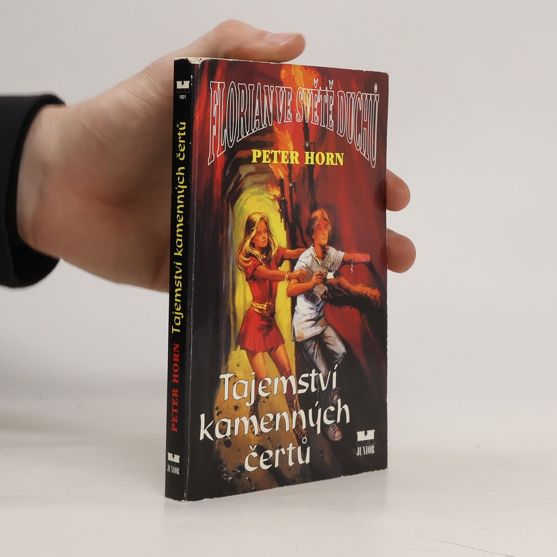 František Ryčl Florian ve světě duchů: Tajemství kamenných čertů
