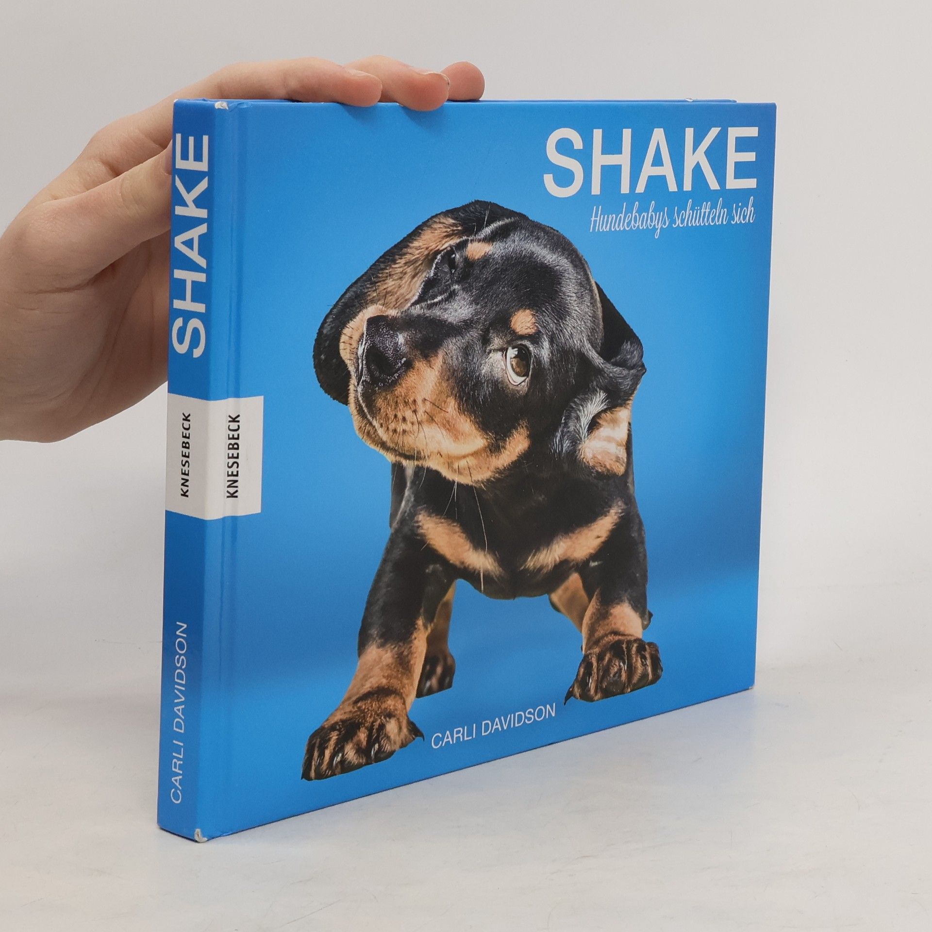 Carli Davidson Shake – Hundebabys schütteln sich