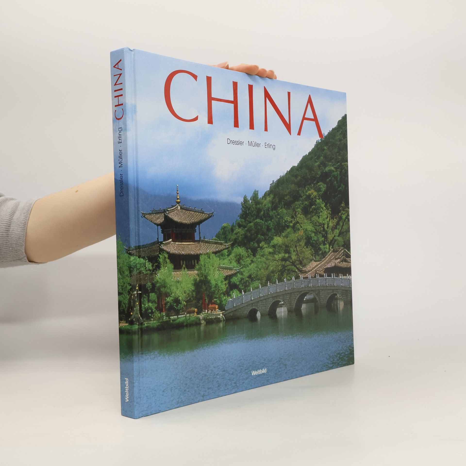 Hauke Dressler China