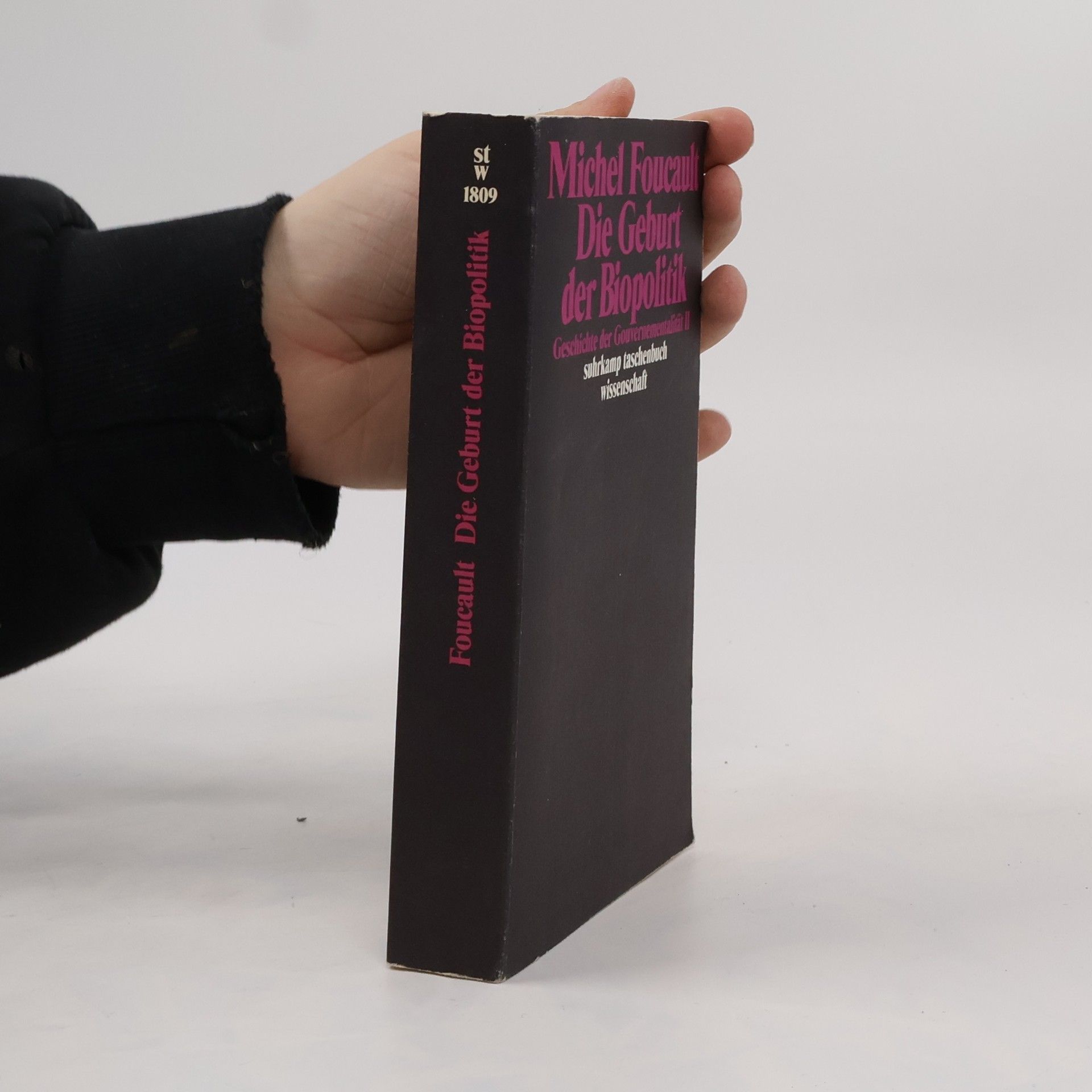 Michel Foucault Geschichte der Gouvernementalität 2