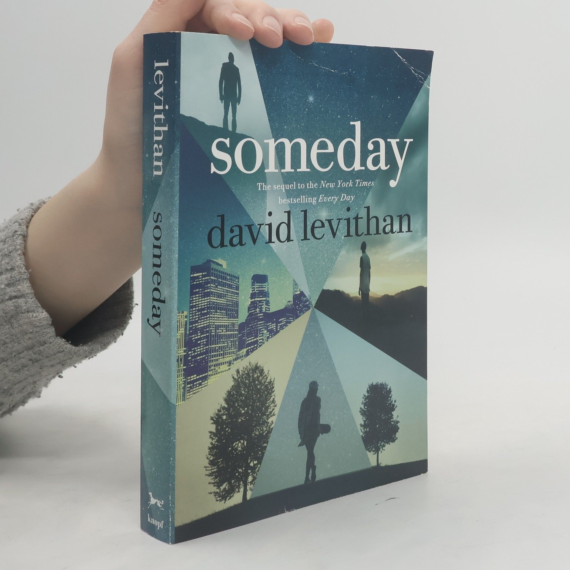 David Levithan Someday