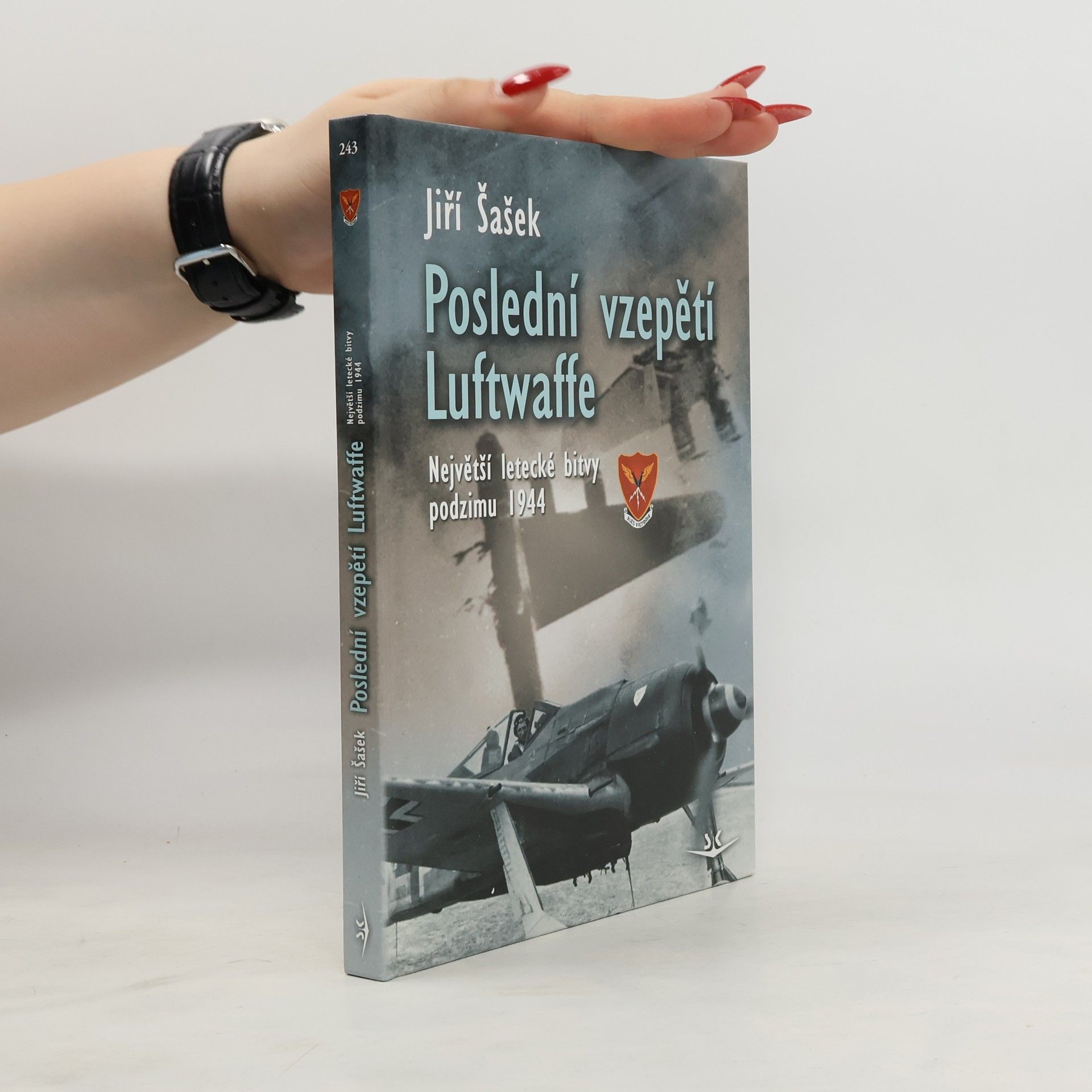 Jiří Šašek Poslední vzepětí Luftwaffe