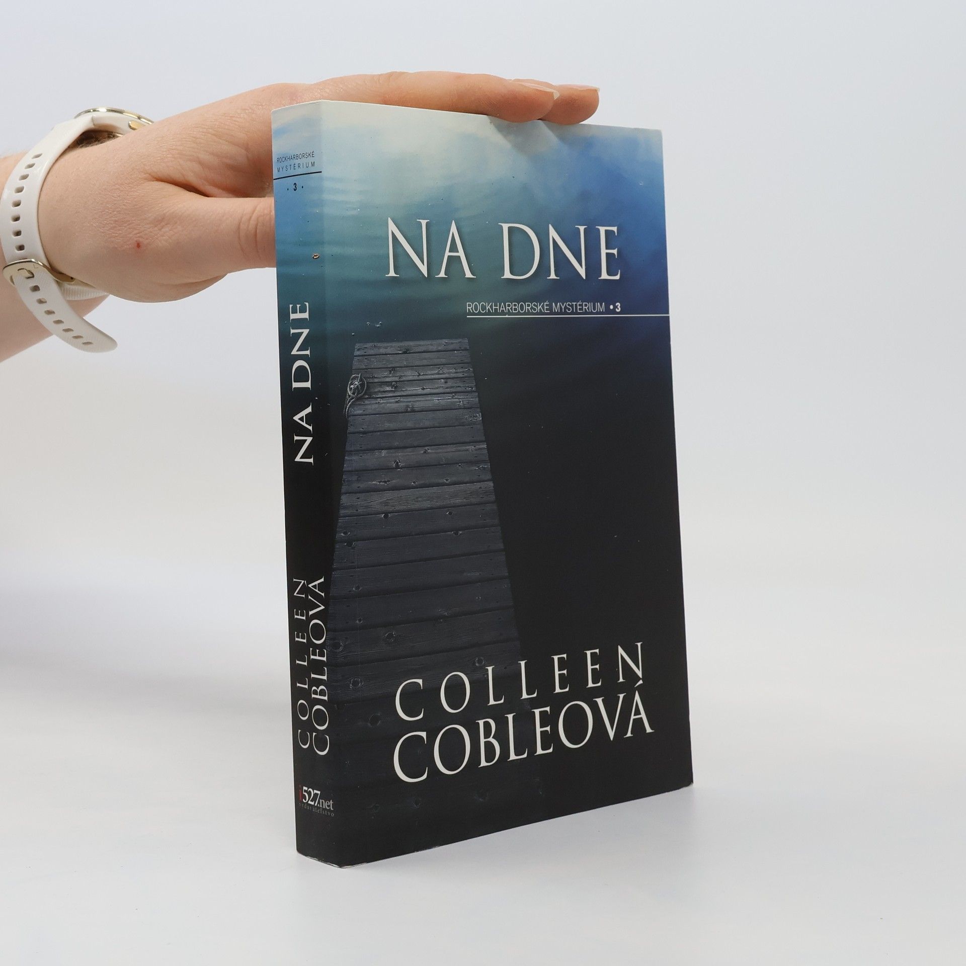 Colleen Coble Na dne
