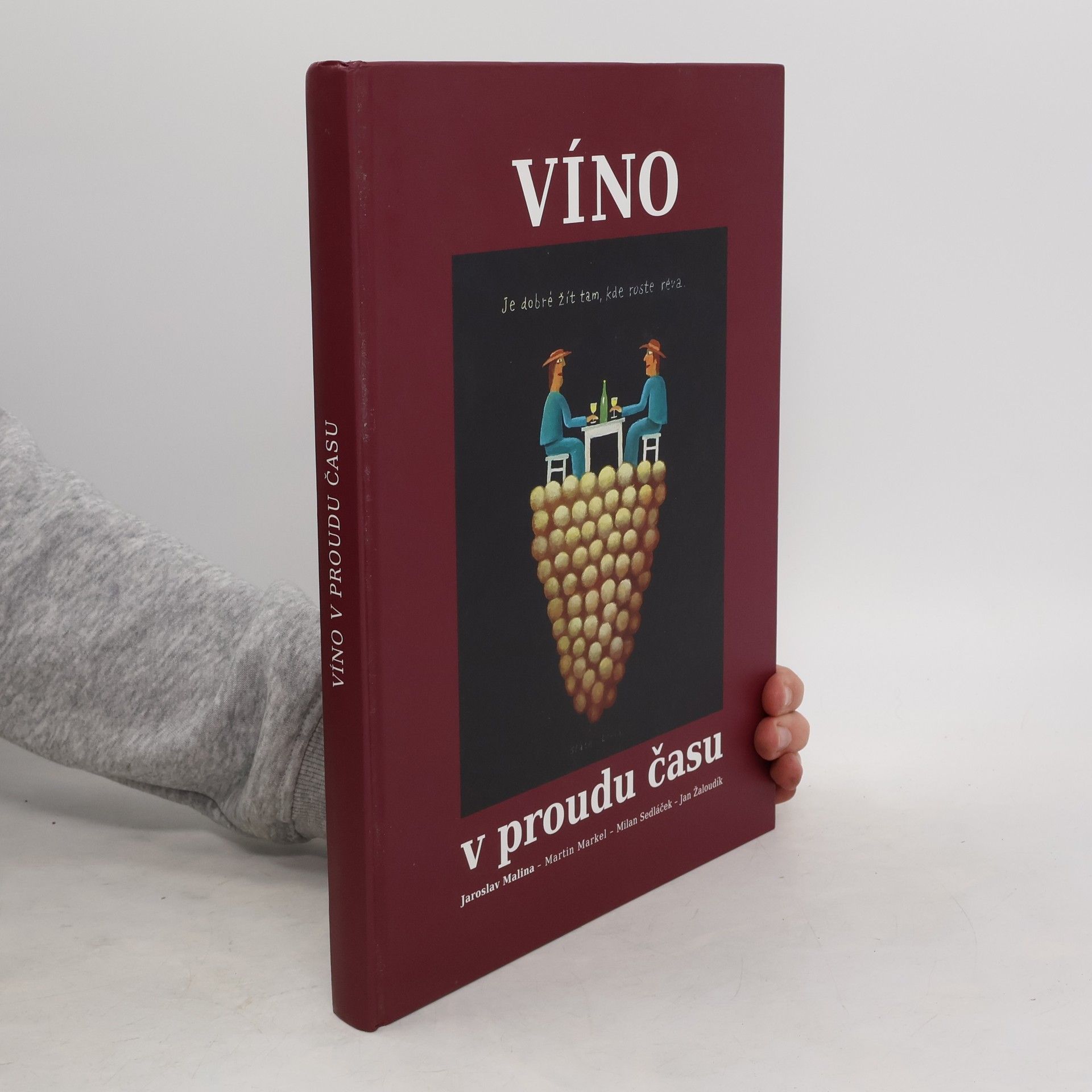 Jaroslav Malina Víno v proudu času
