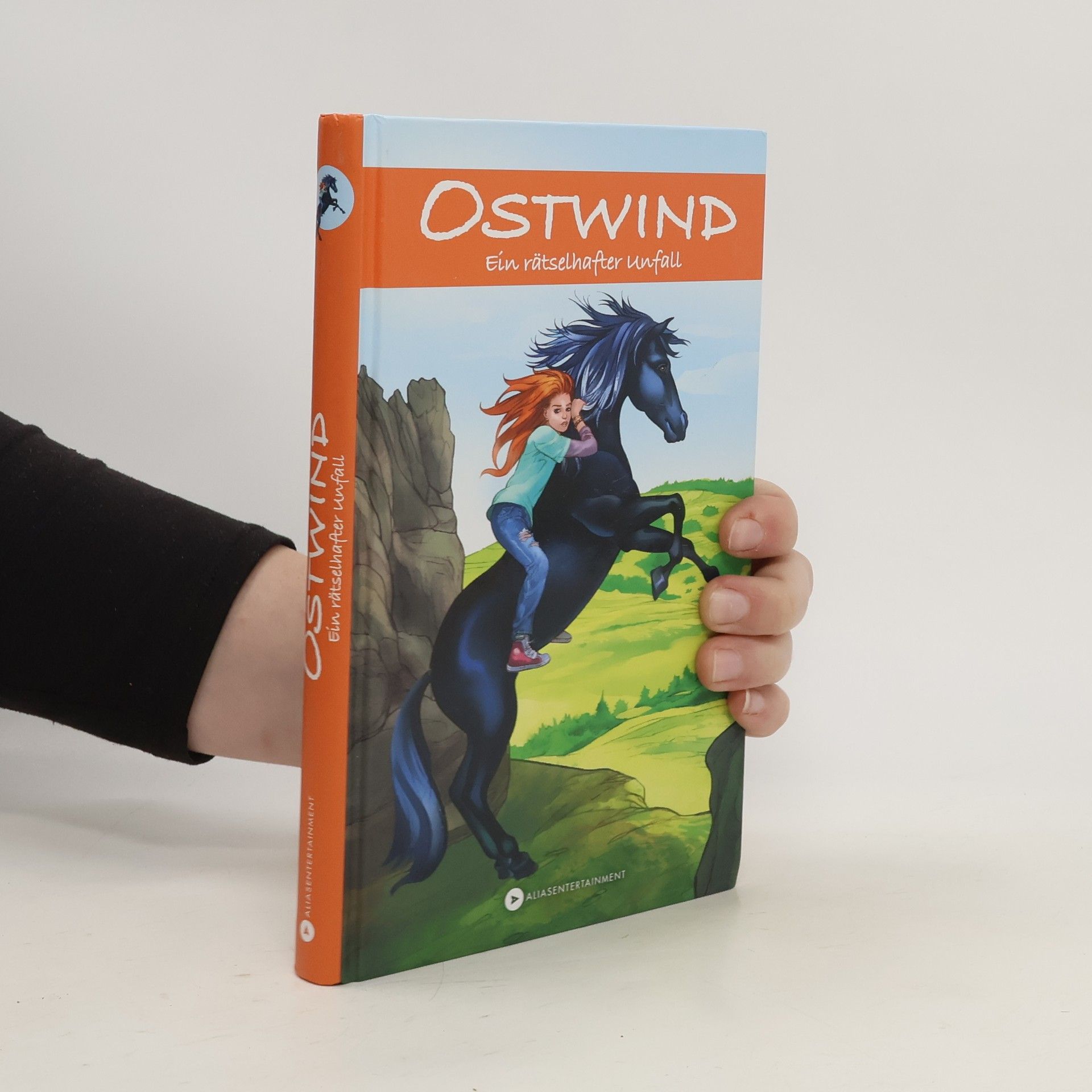 Schwarz Rosa OSTWIND - Ein rätselhafter Unfall