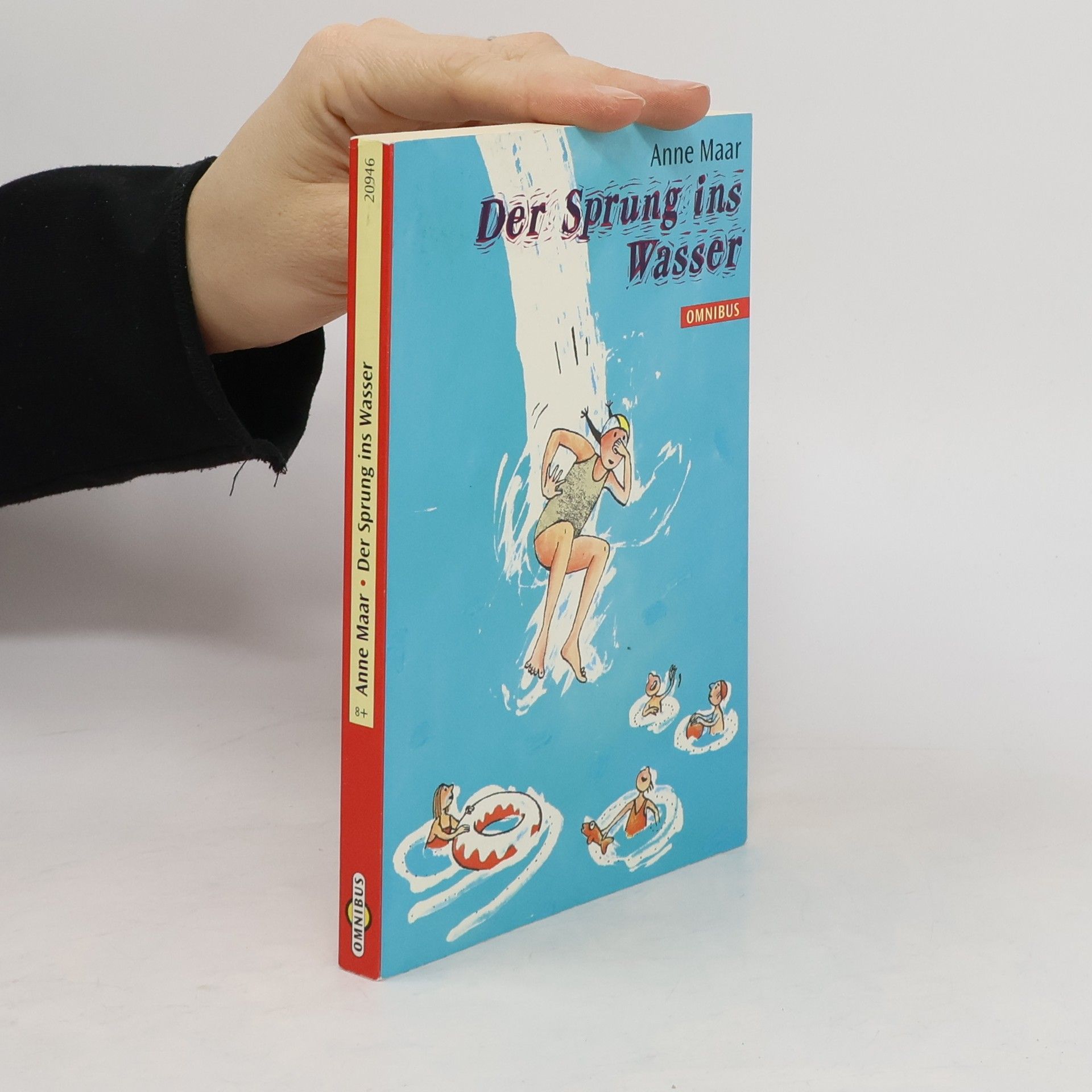 Anne Maar Der Sprung ins Wasser