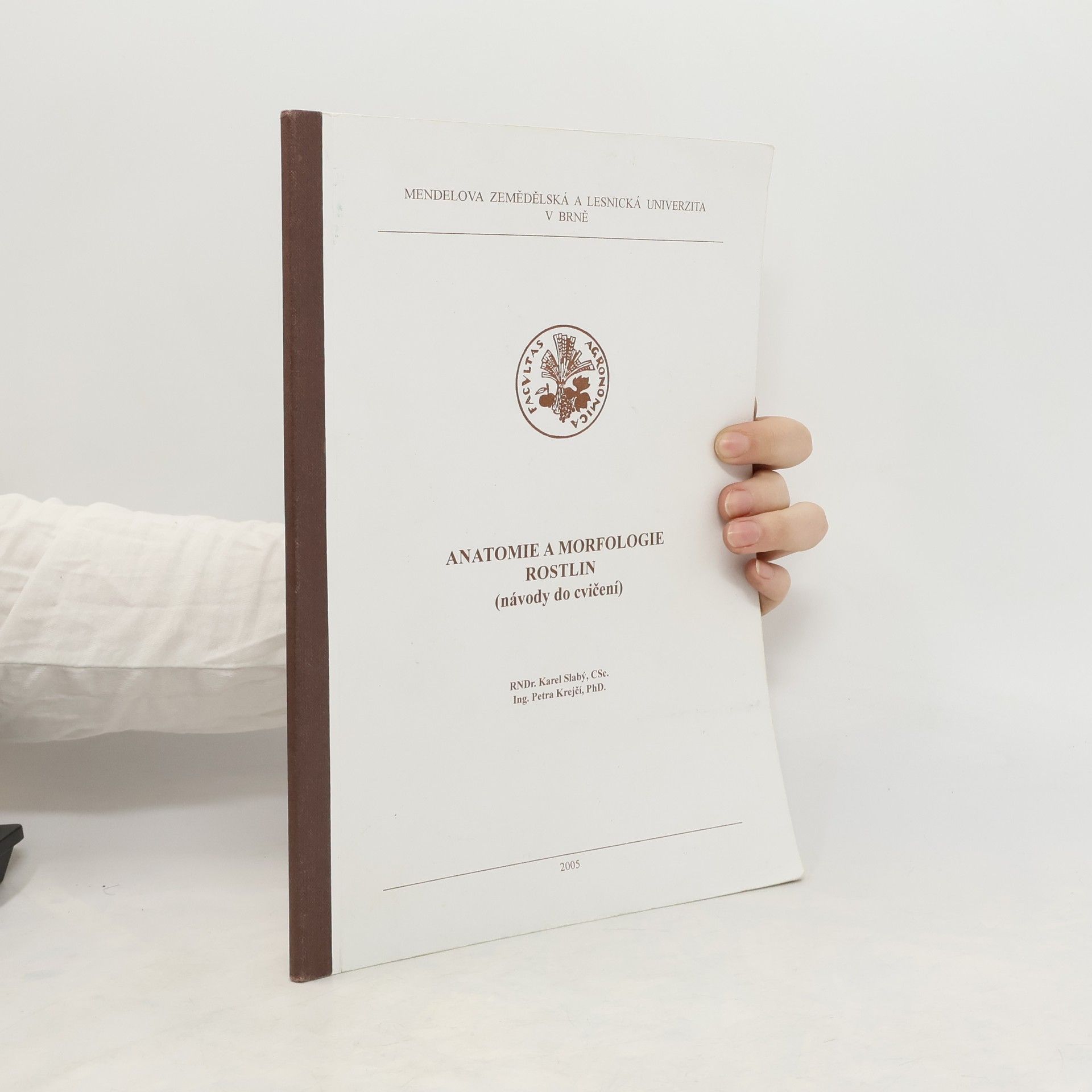 Petra Krejčová Anatomie a morfologie rostlin