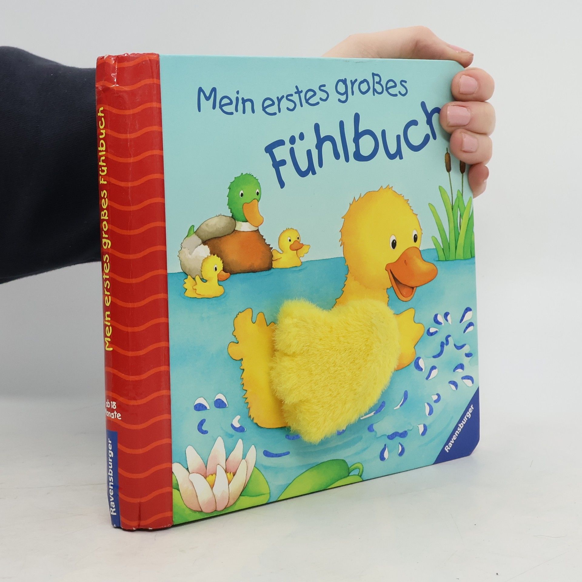 Monika Neubacher Fesser Mein erstes großes Fühlbuch