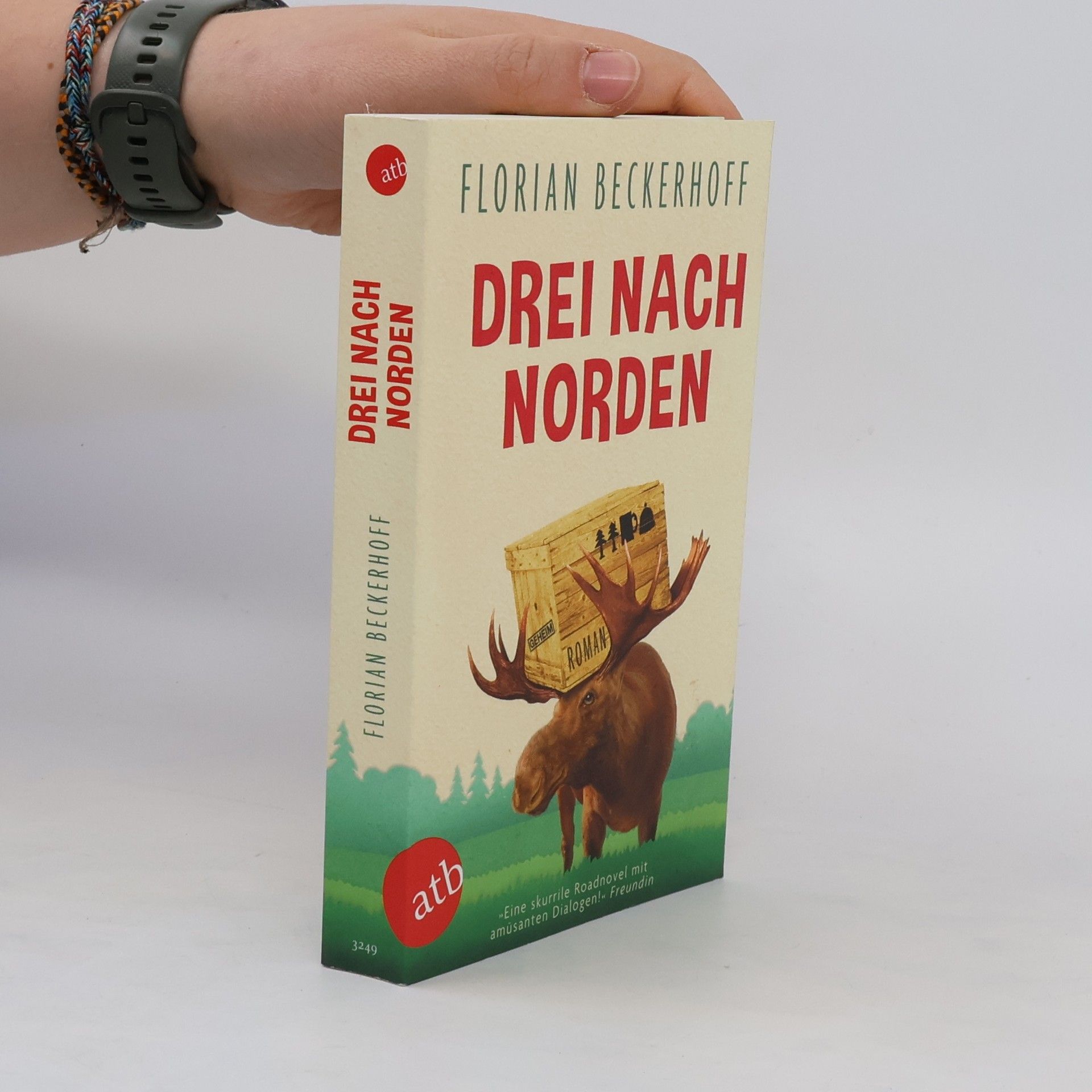 Florian Beckerhoff Drei nach Norden