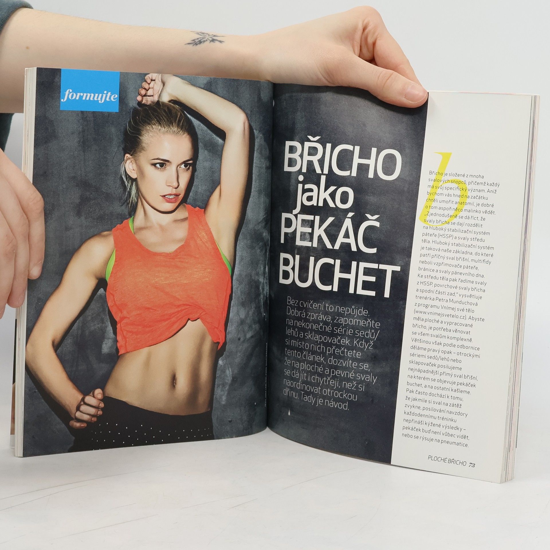 Collectif d'auteurs Ploché břicho