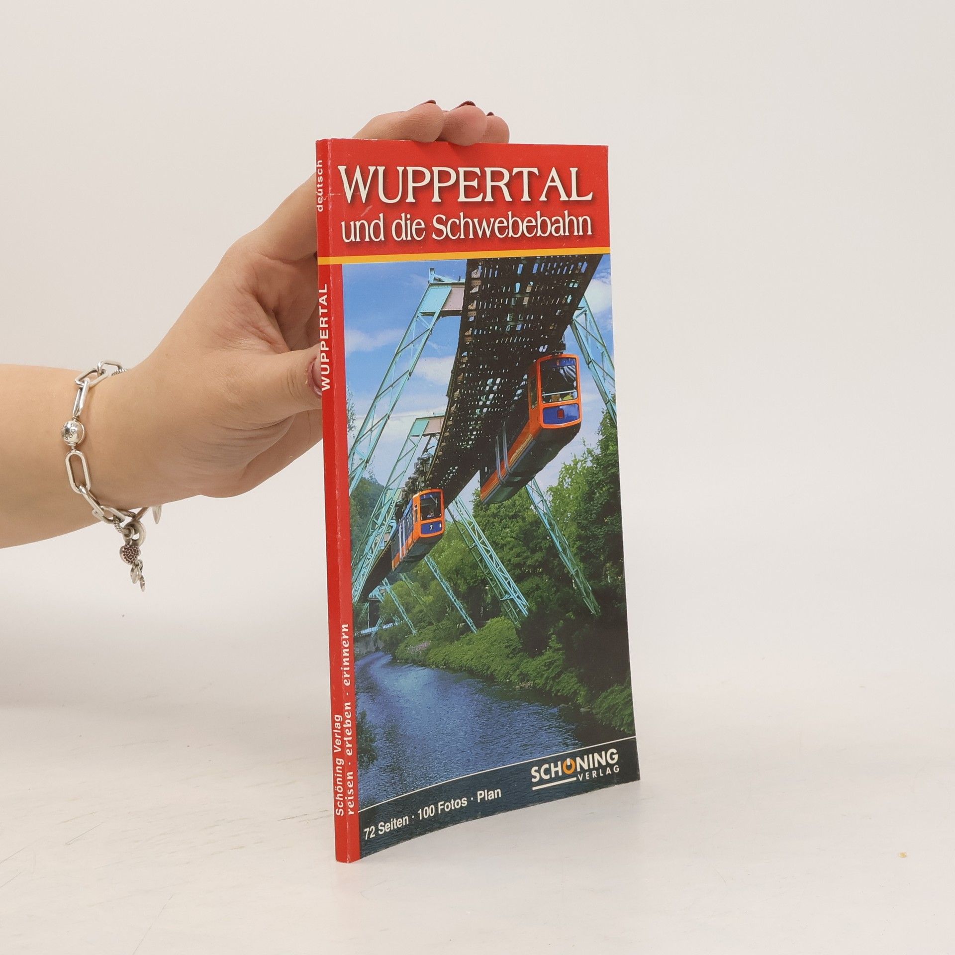 Michael Malicke Wuppertal und die Schwebebahn