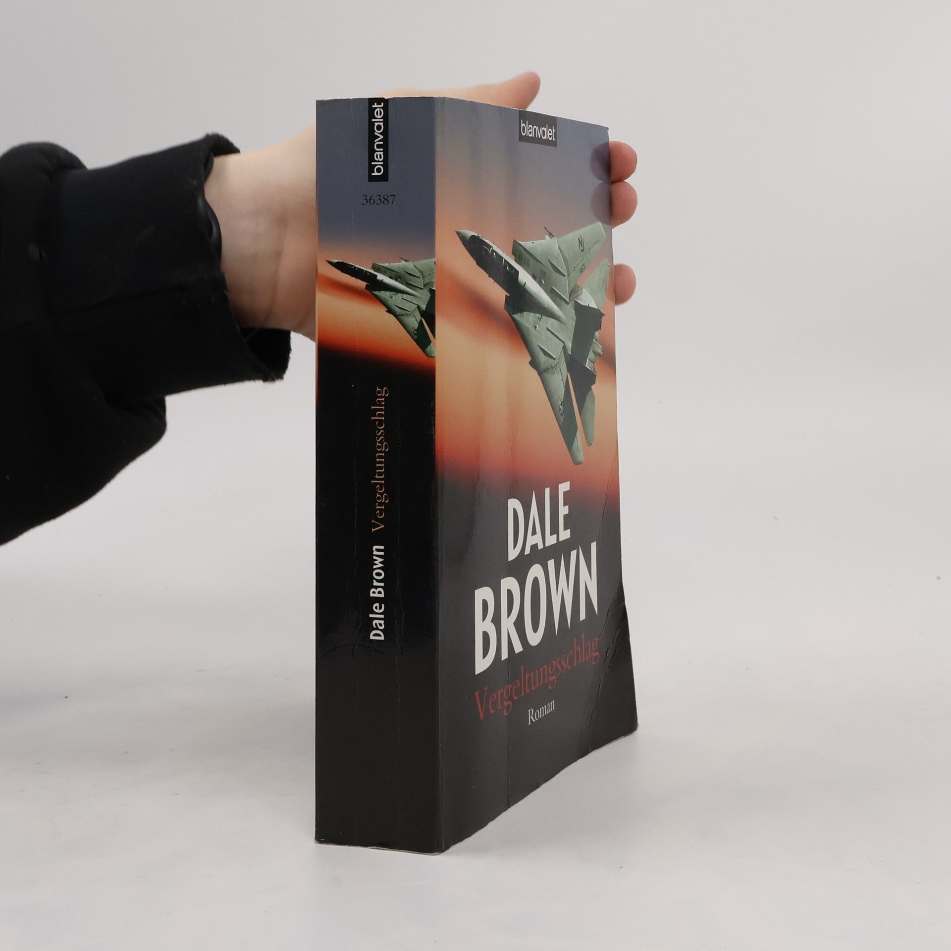 Dale Brown Vergeltungsschlag